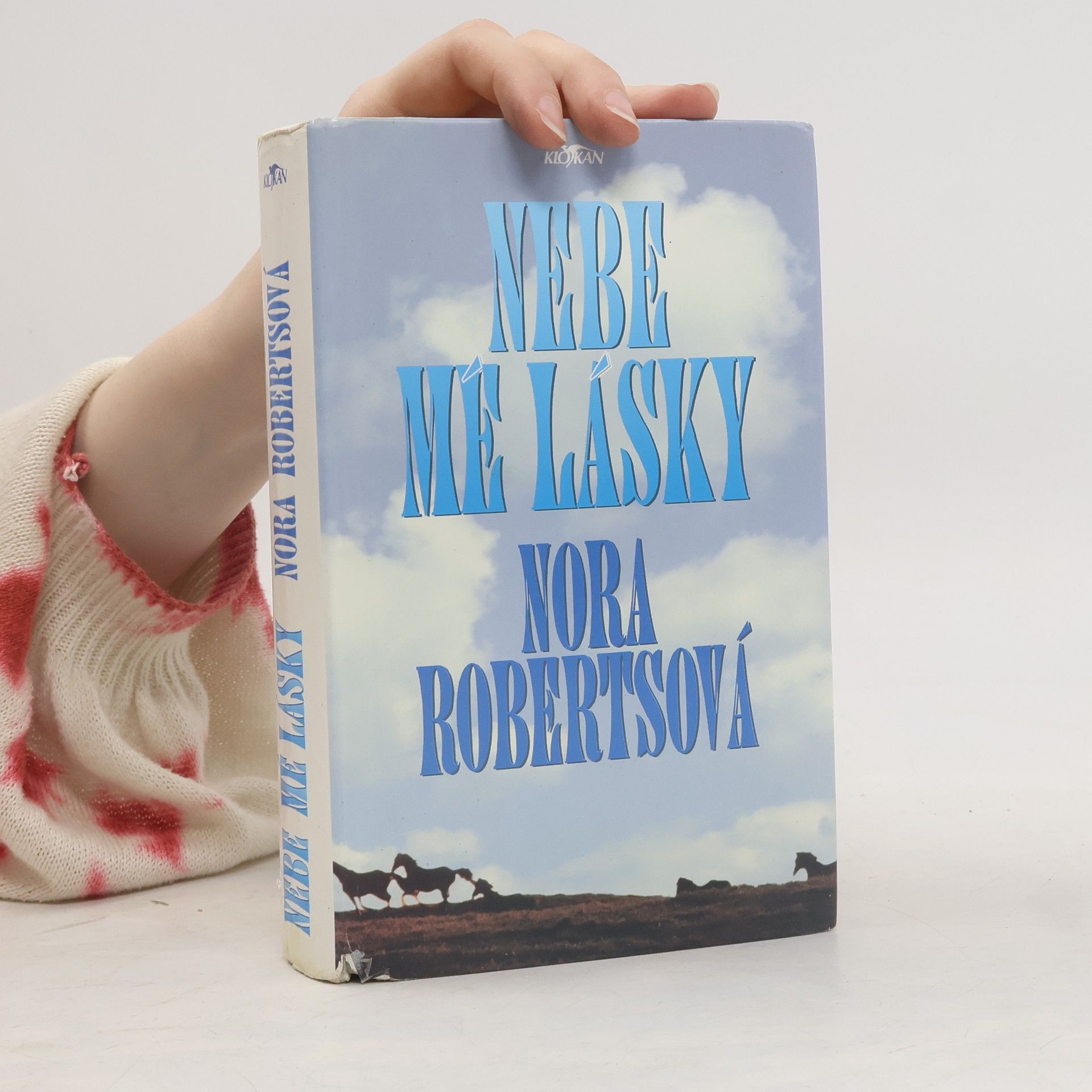 Nora Roberts Nebe mé lásky