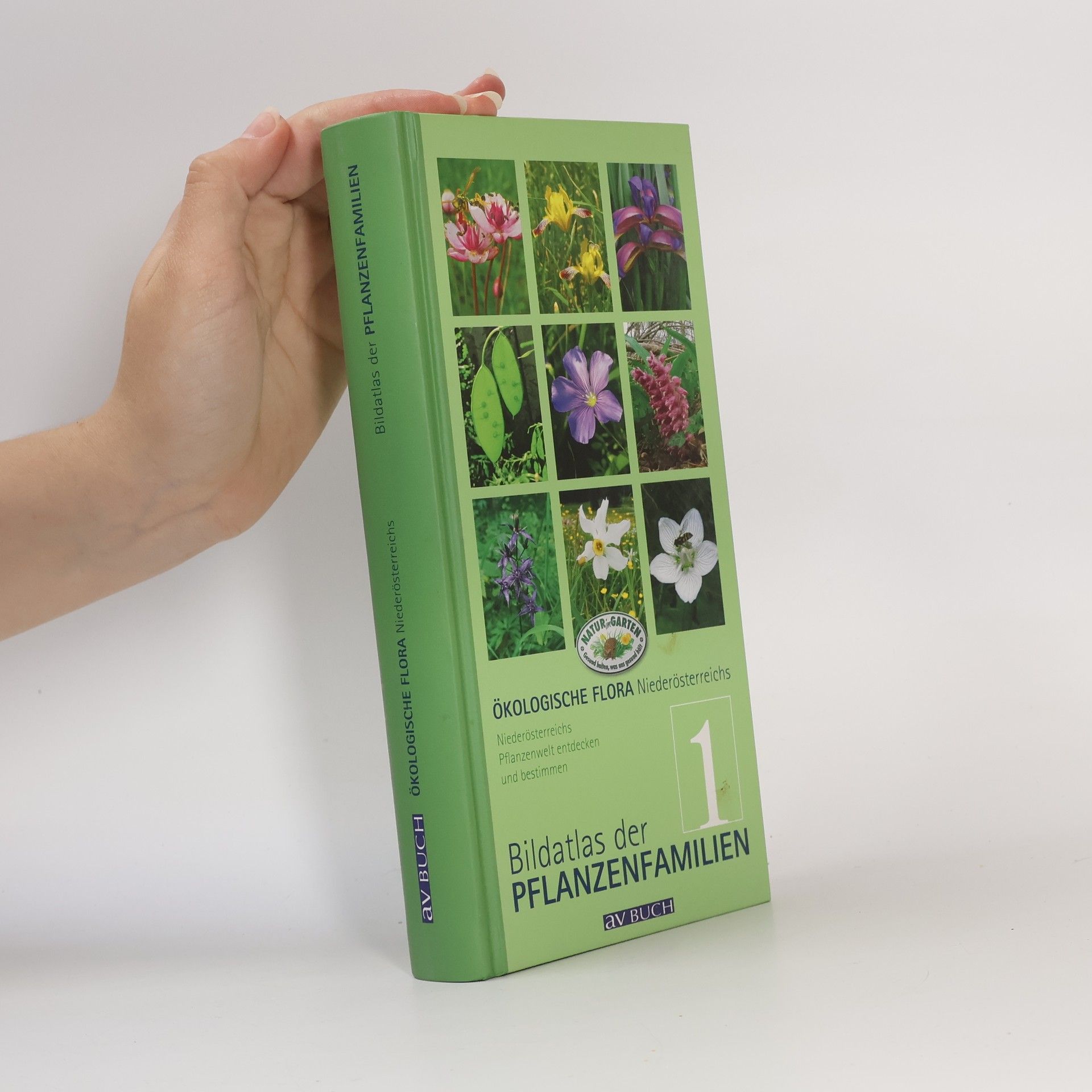 Auteurscollectief Ökologische Flora, Niederösterreichs Wildpflanzen entdecken und bestimmen