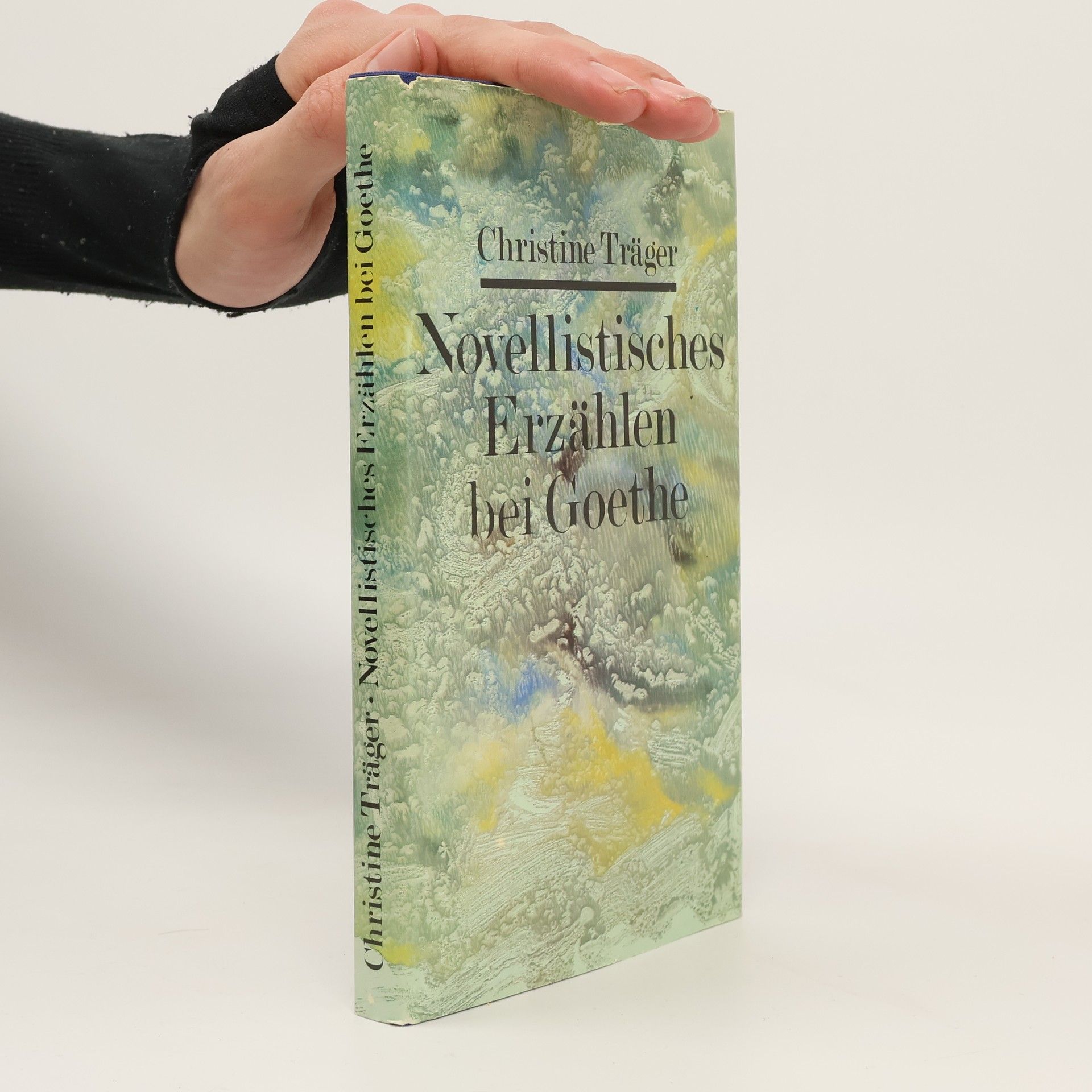 Christine Träger Novellistisches Erzählen bei Goethe