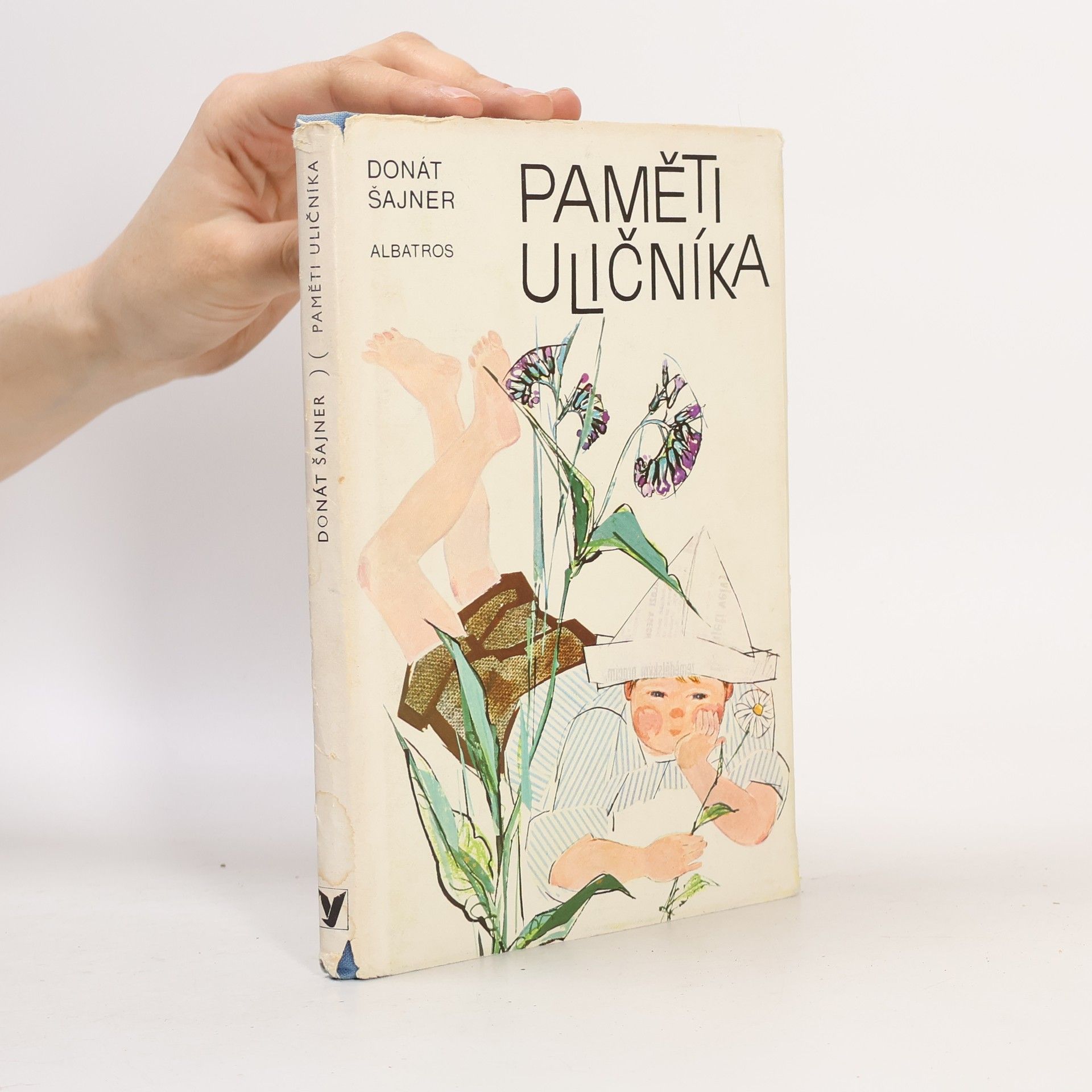 Paměti uličníka