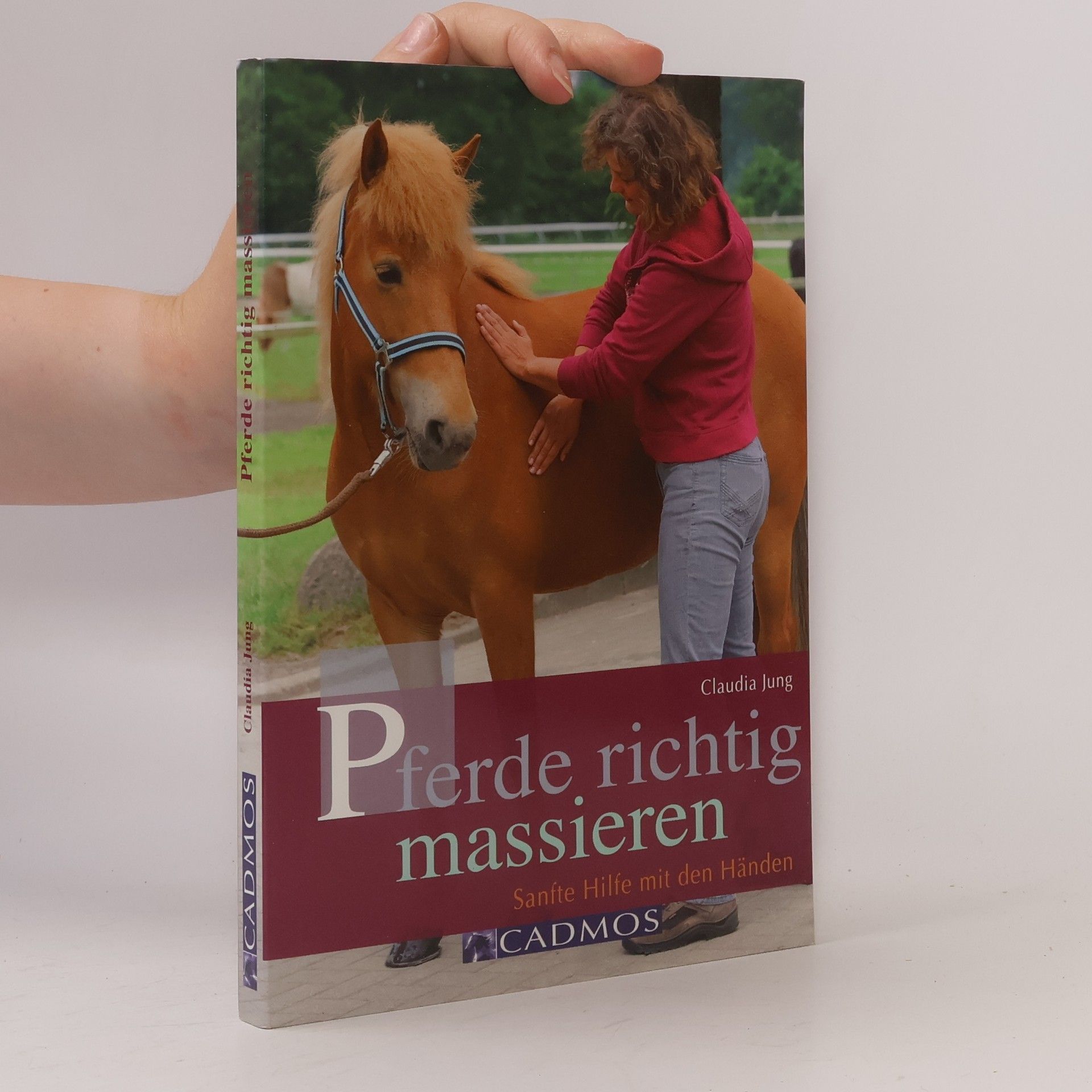 Claudia Jung Pferde richtig massieren