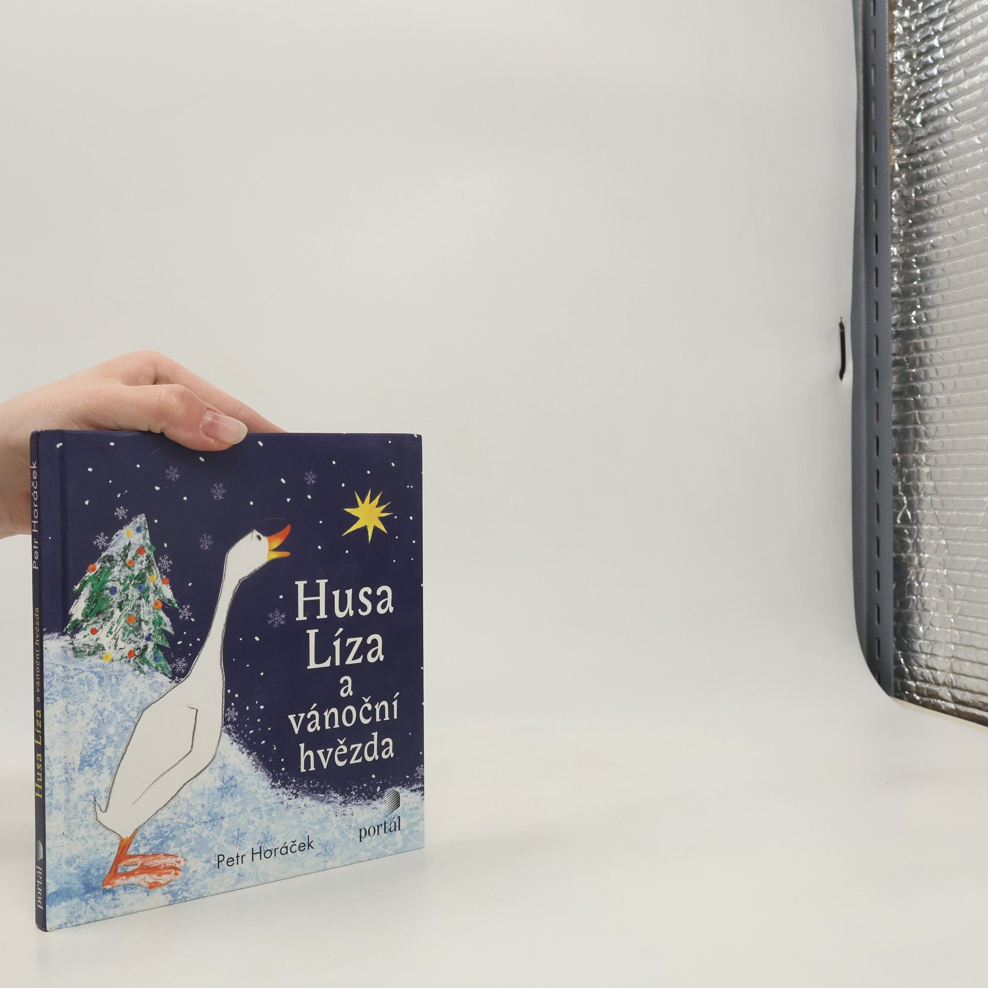 Horacek Petr Husa Líza a vánoční hvězda