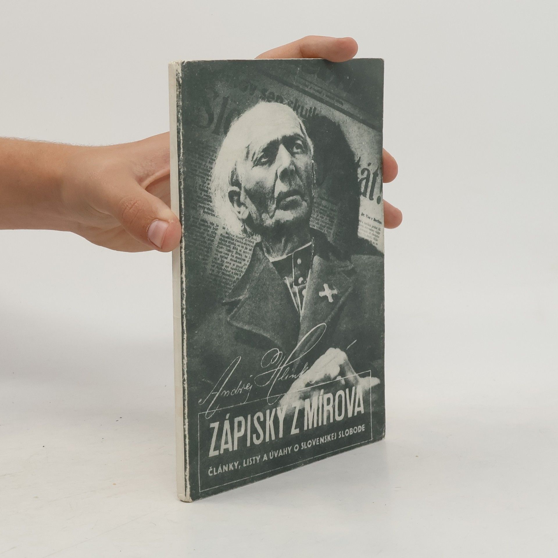 Andrej Hlinka Zápisky z Mírova