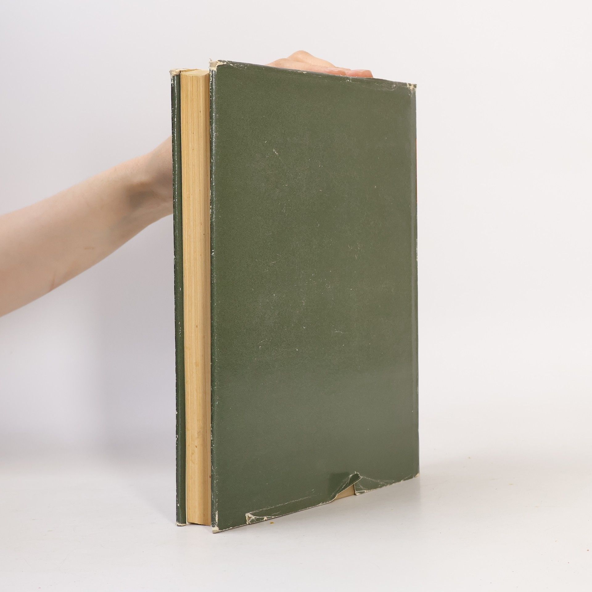 AA.VV. Umwelt des Urchristentums I