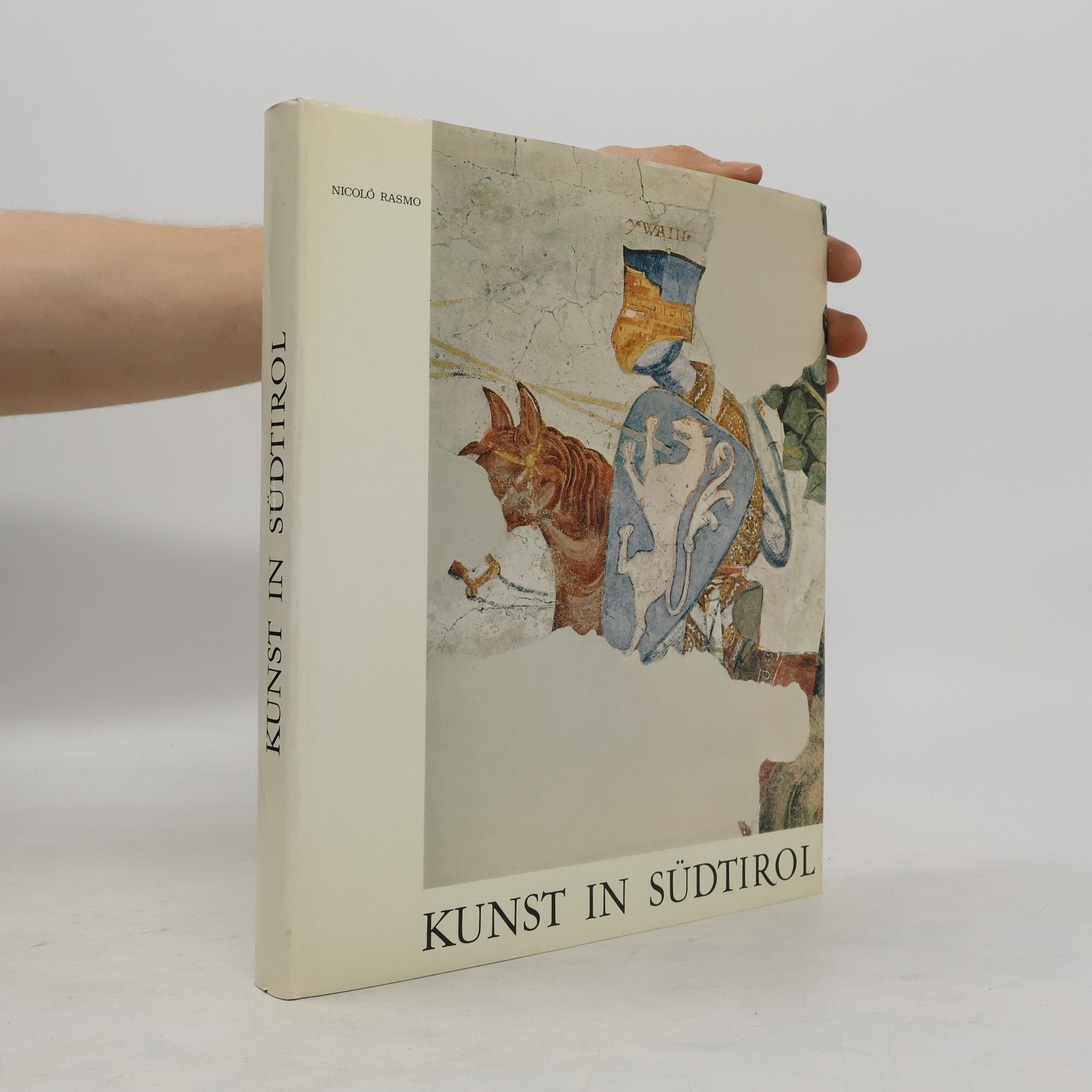 Nicolo Rasmo Kunst in Südtirol