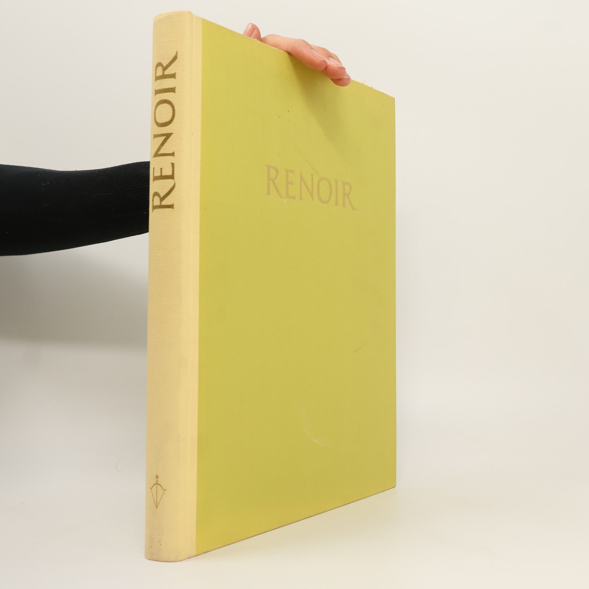 Autorenkollektiv Renoir