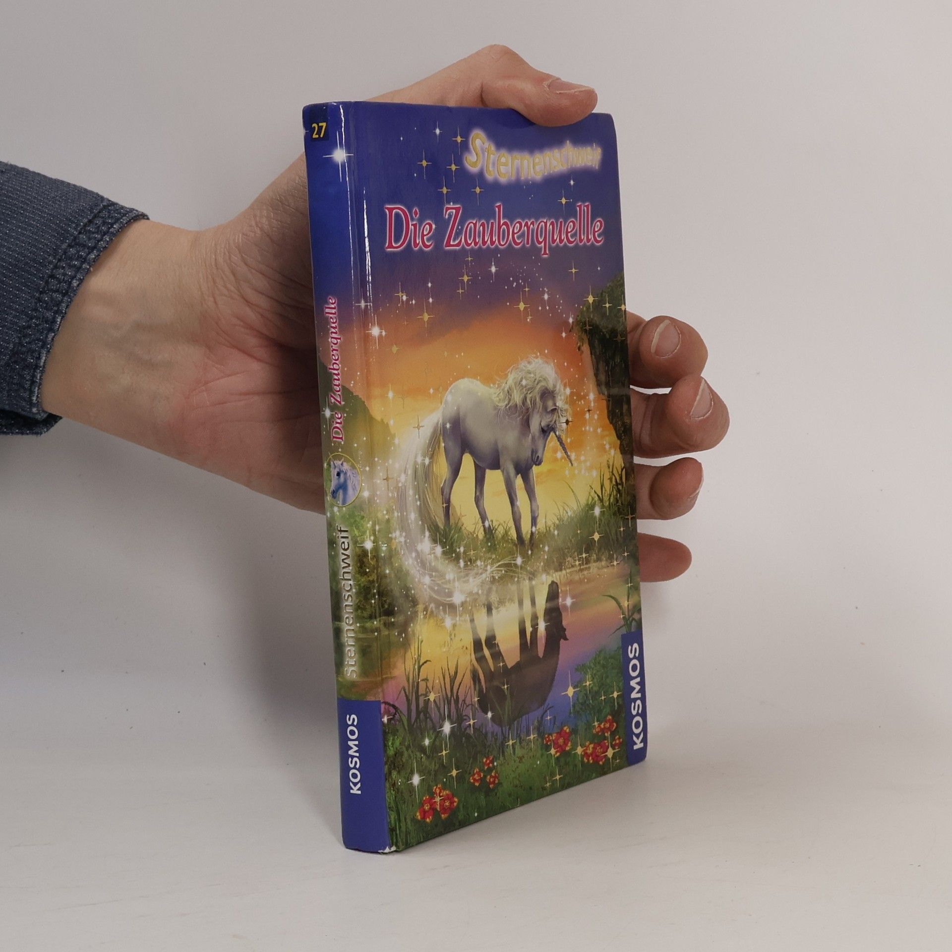 Ina Brandt Die Zauberquelle