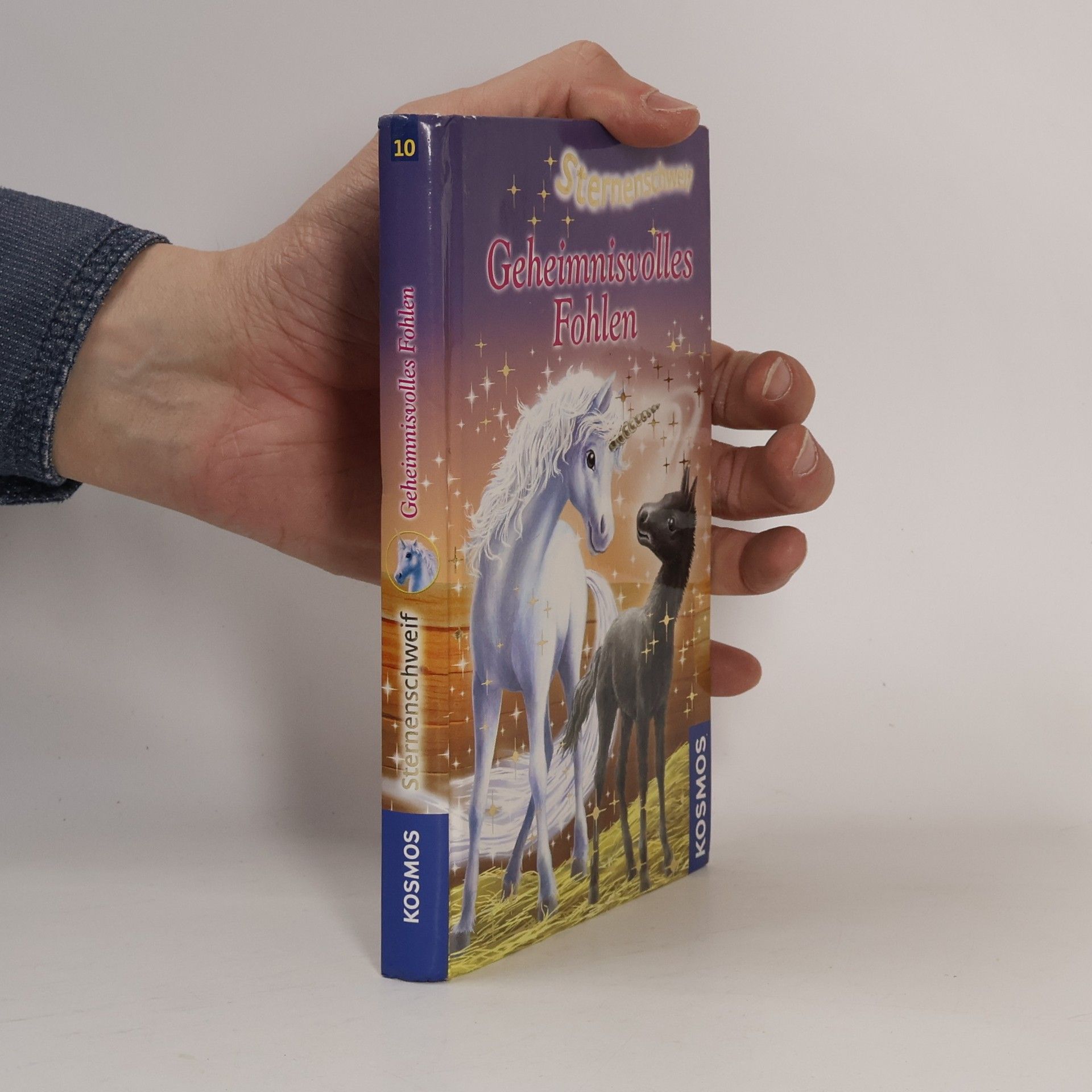 Linda Chapman Sternenschweif : Geheimnisvolles Fohlen