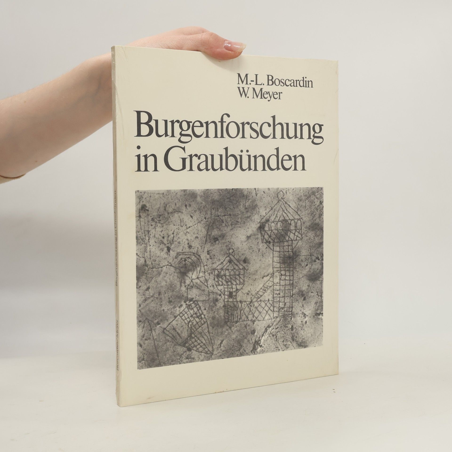 Maria Letizia Heyer Boscardin Burgenforschung in Graubünden