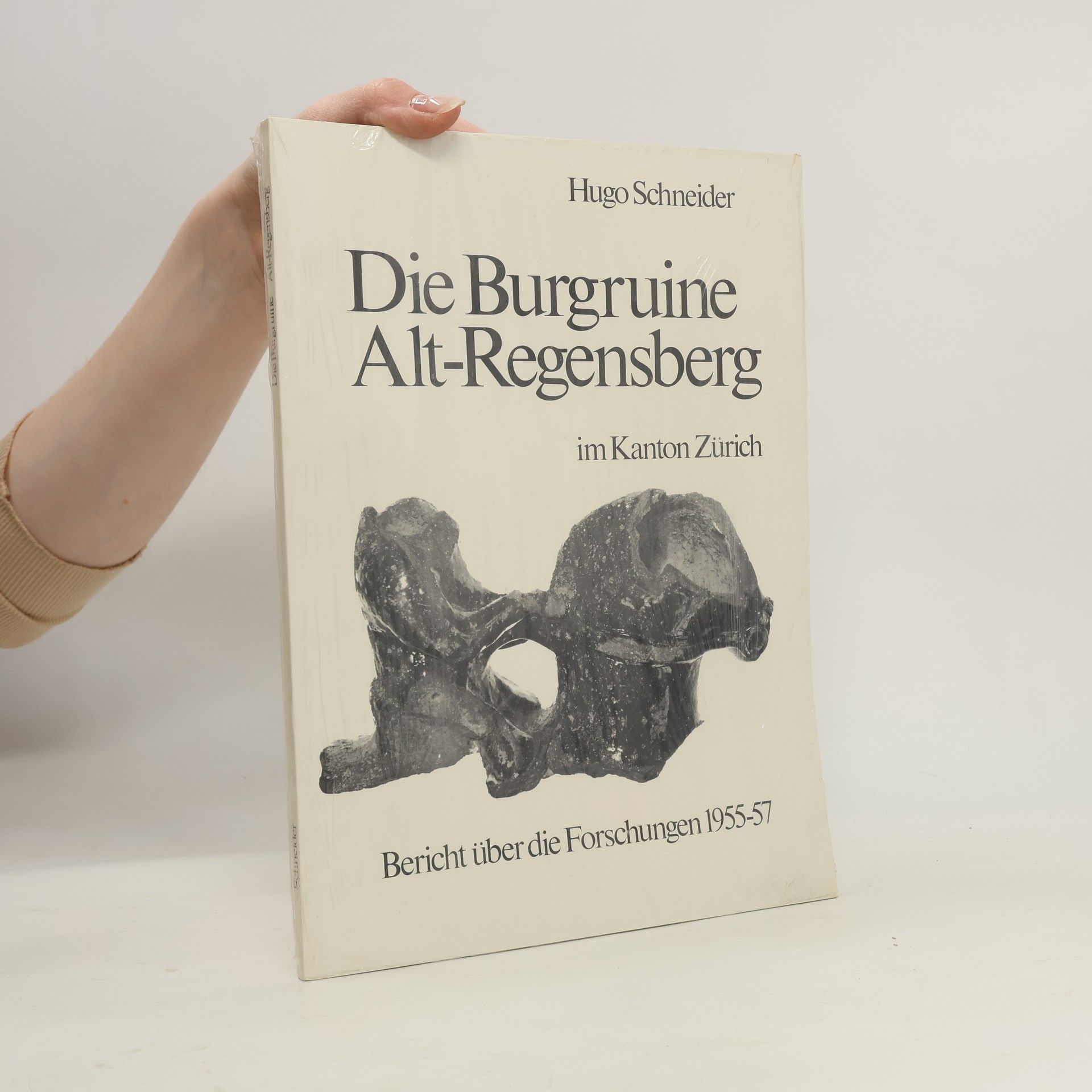 Hugo Schneider Die Burgruine Alt-Regensberg im Kanton Zürich