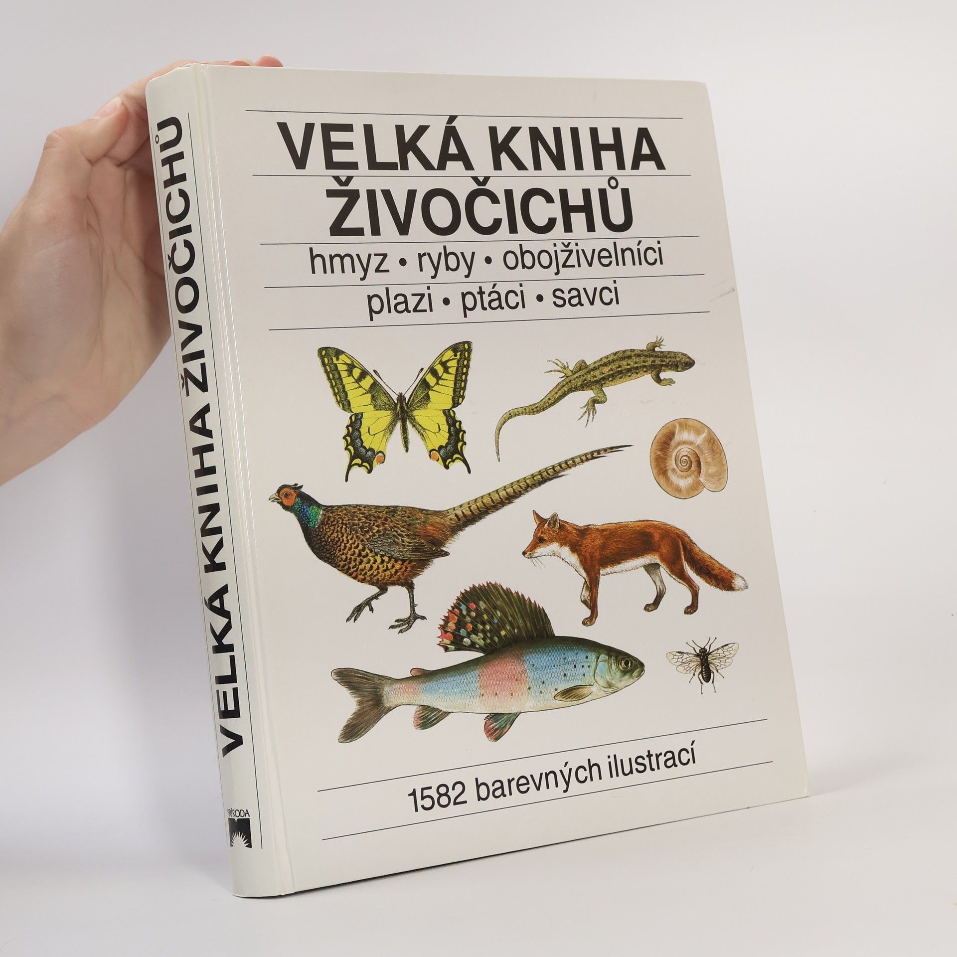 Ladislav Korbel Velká kniha živočichů : hmyz, ryby, obojživelníci, plazi, ptáci, savci