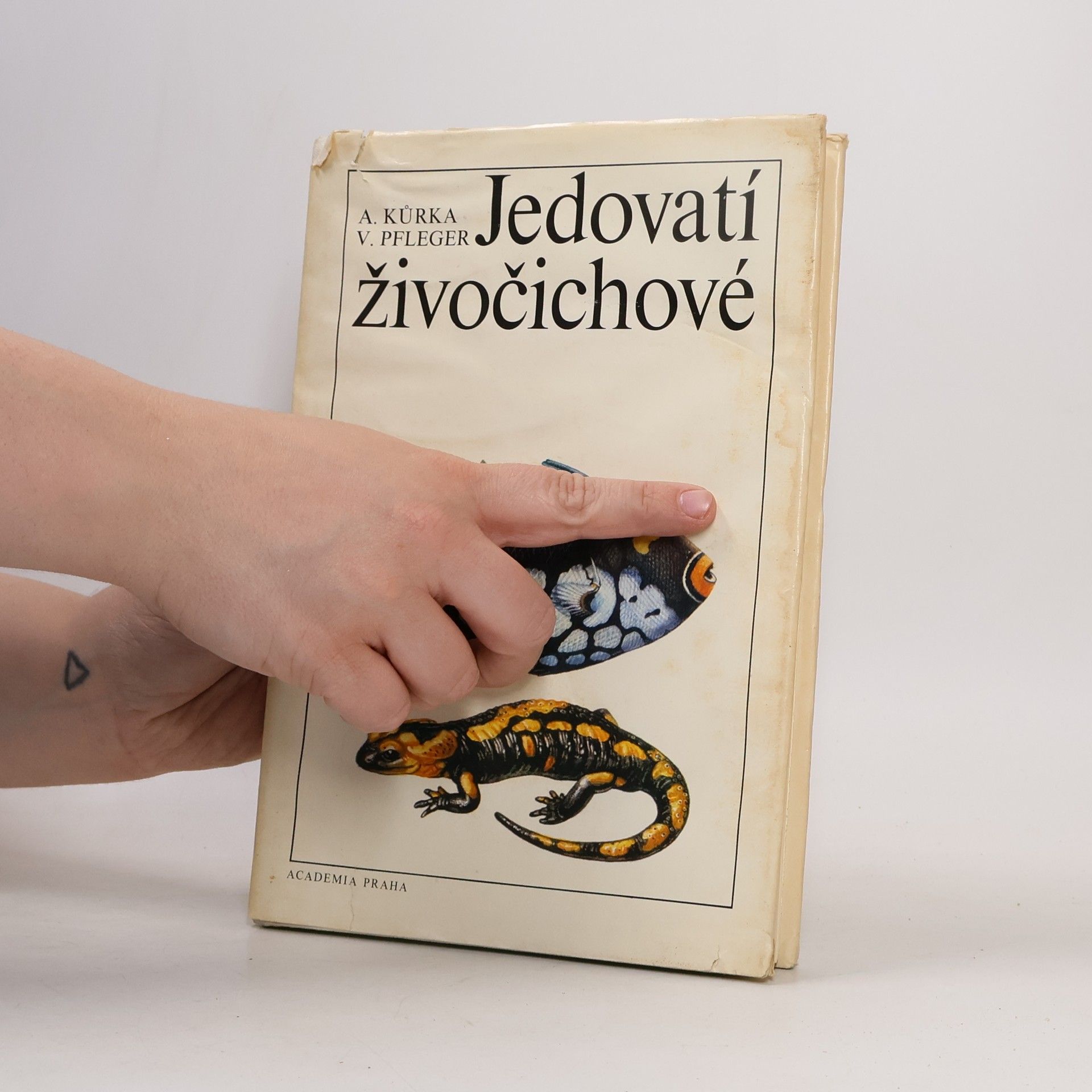 Antonín Kůrka Jedovatí živočichové