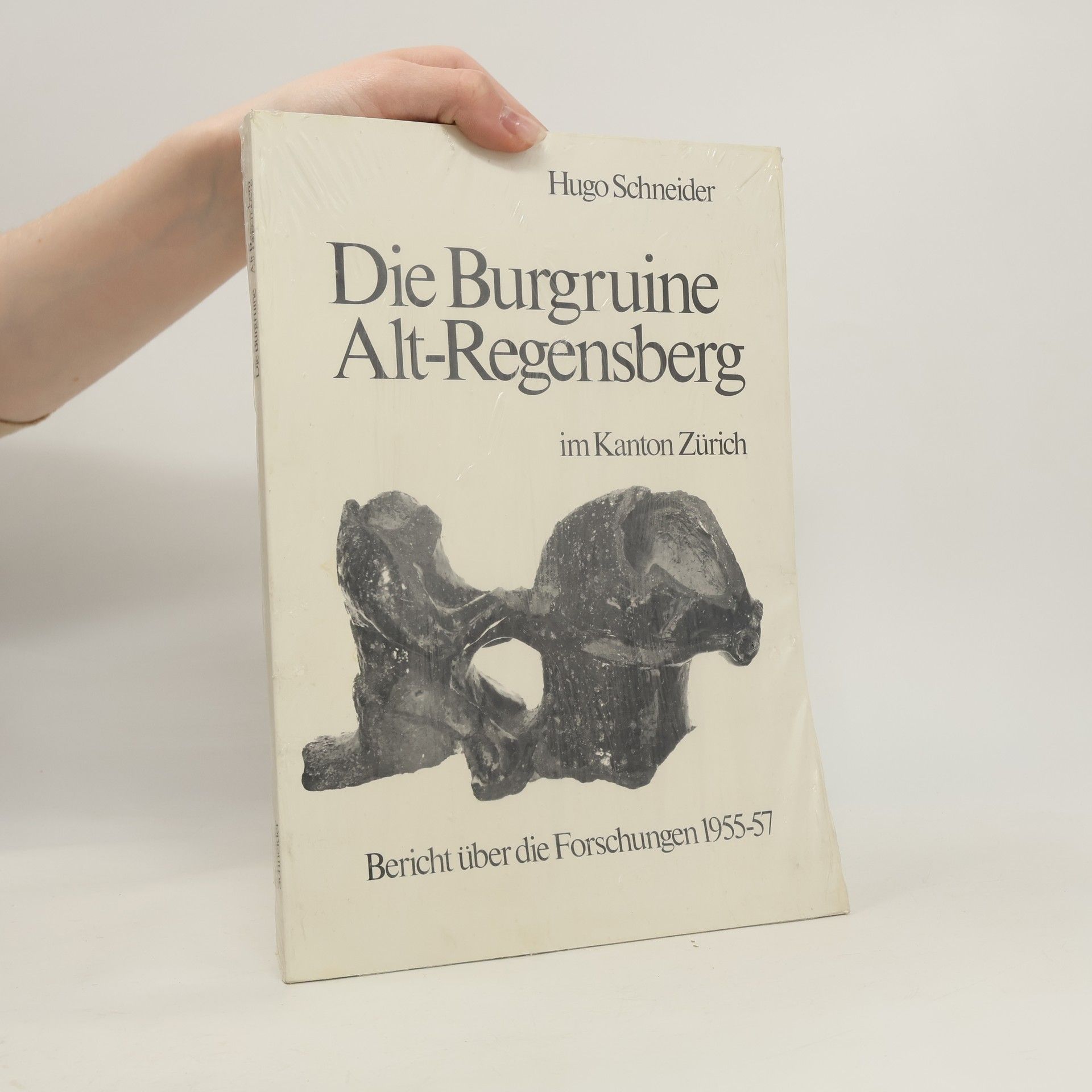 Hugo Schneider Die Burgruine Alt-Regensberg im Kanton Zürich