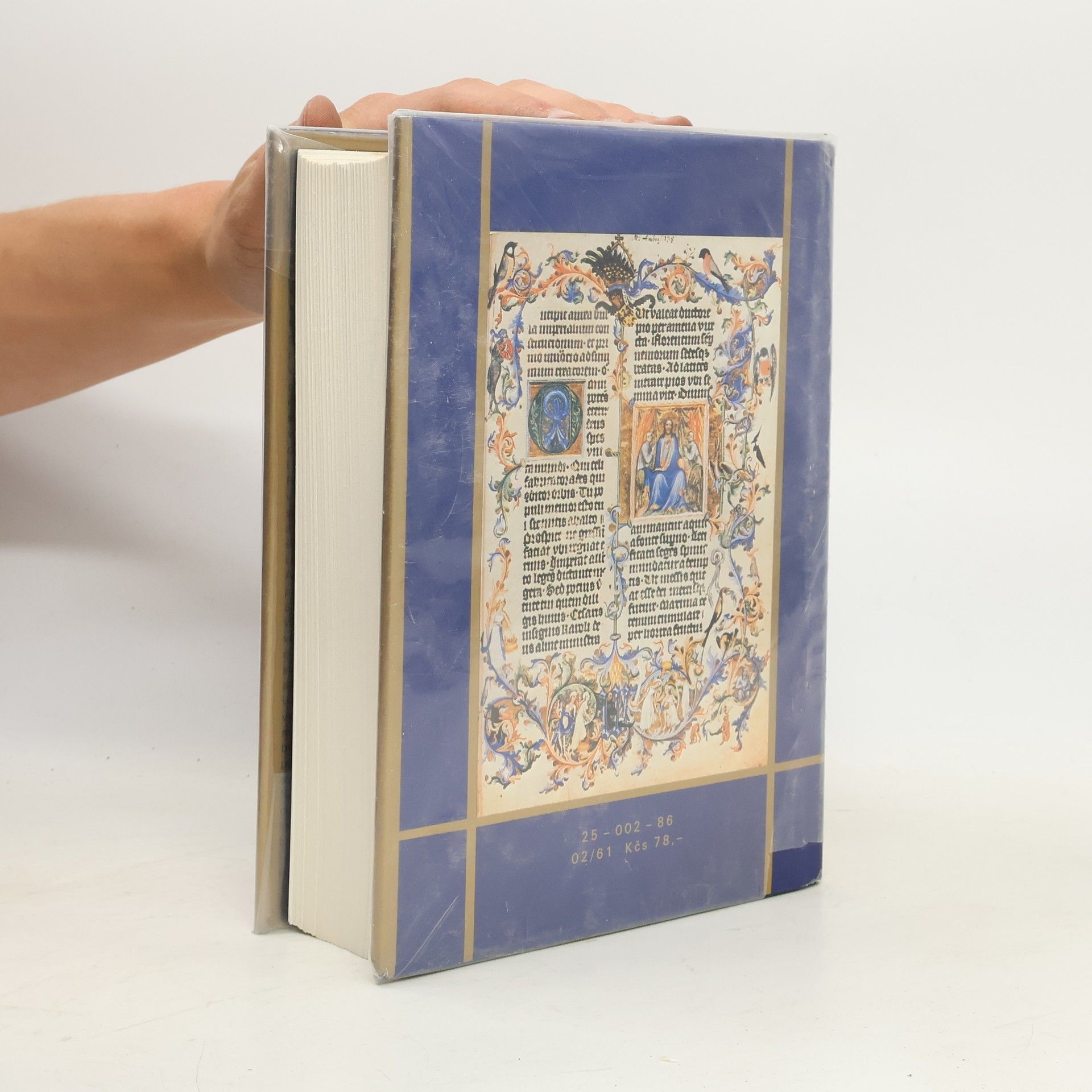 Jiří Spěváček Václav IV. 1361-1419