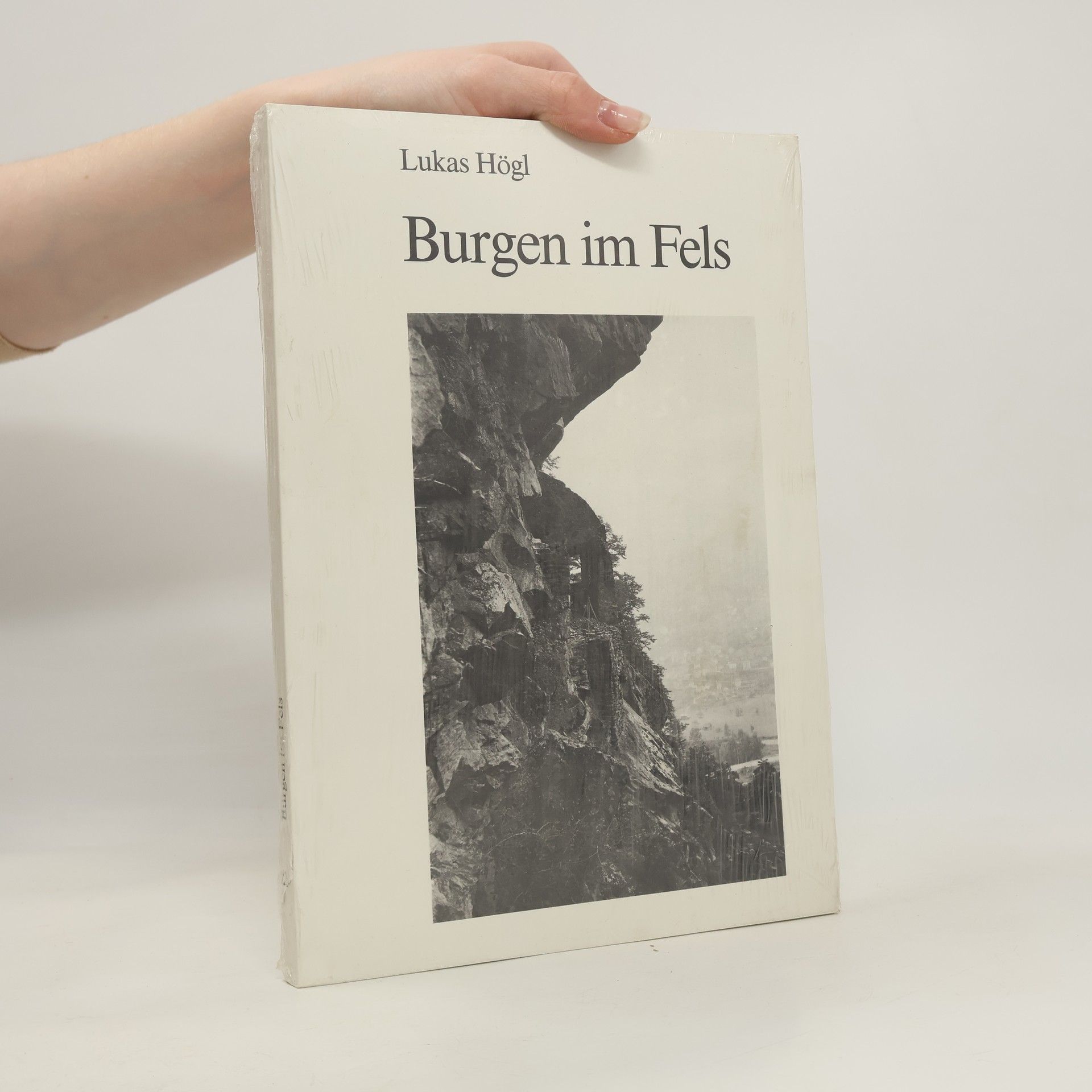 Lukas Högl Burgen im Fels