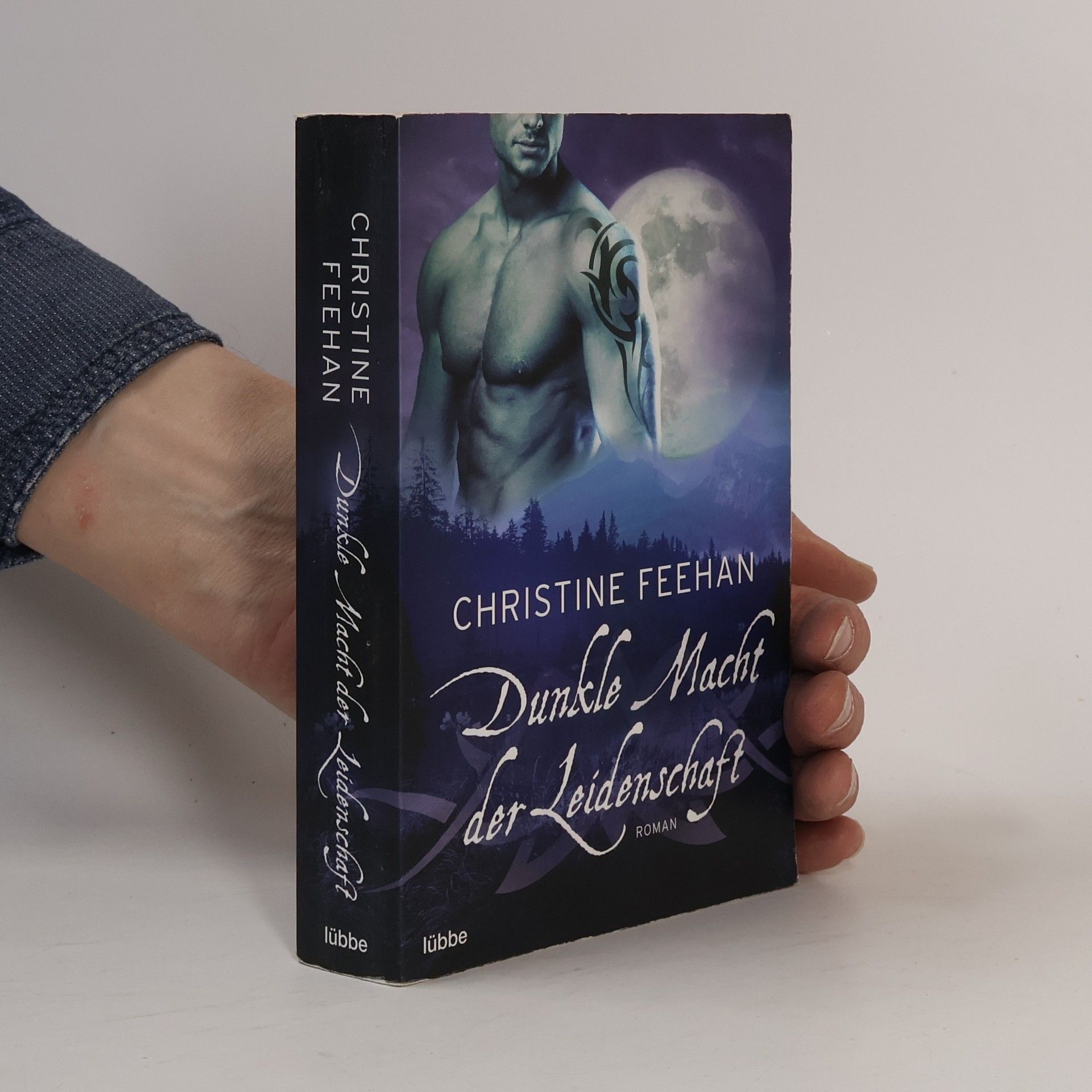 Christine Feehan Dunkle Macht der Leidenschaft