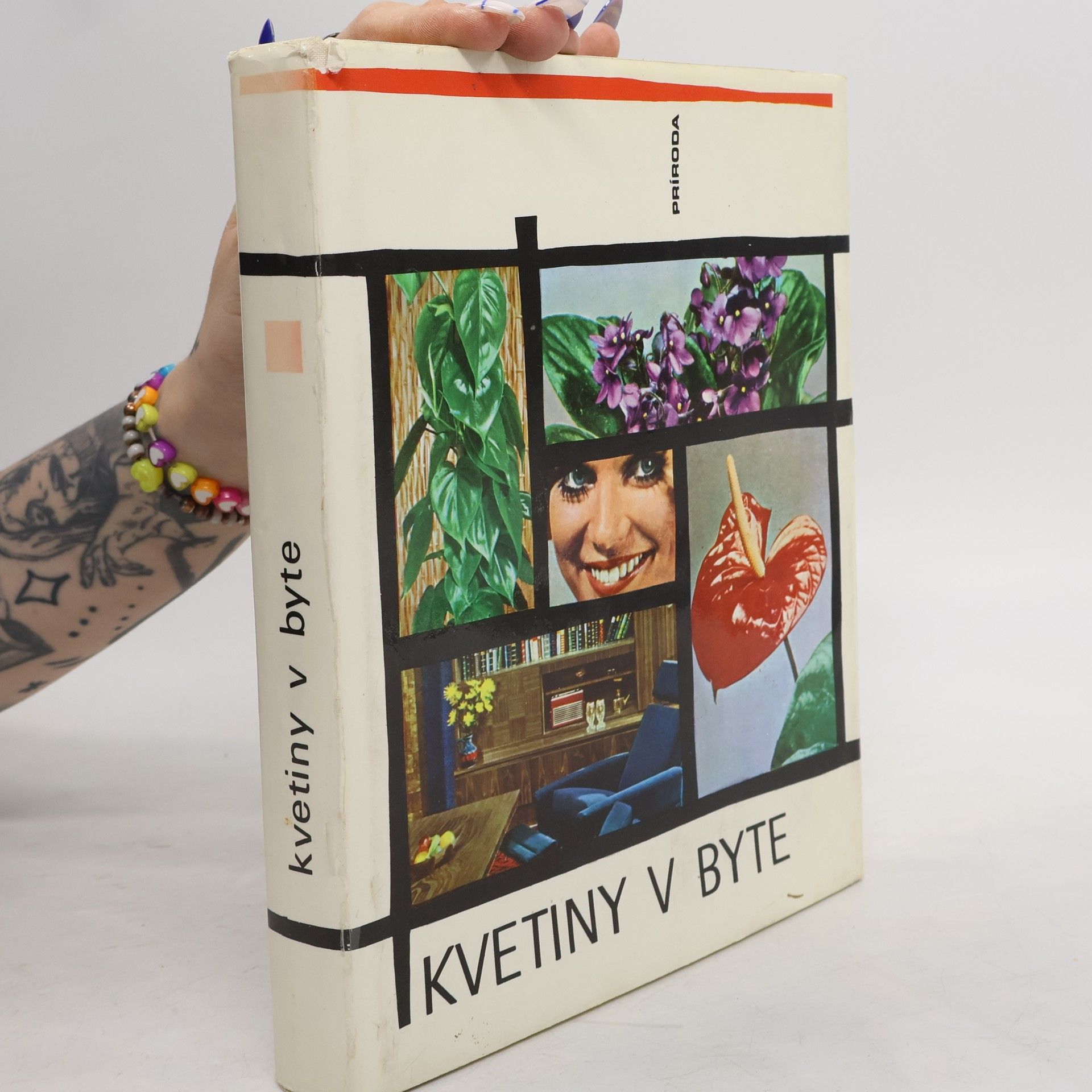 Jaroslav Machovec Kvetiny v byte