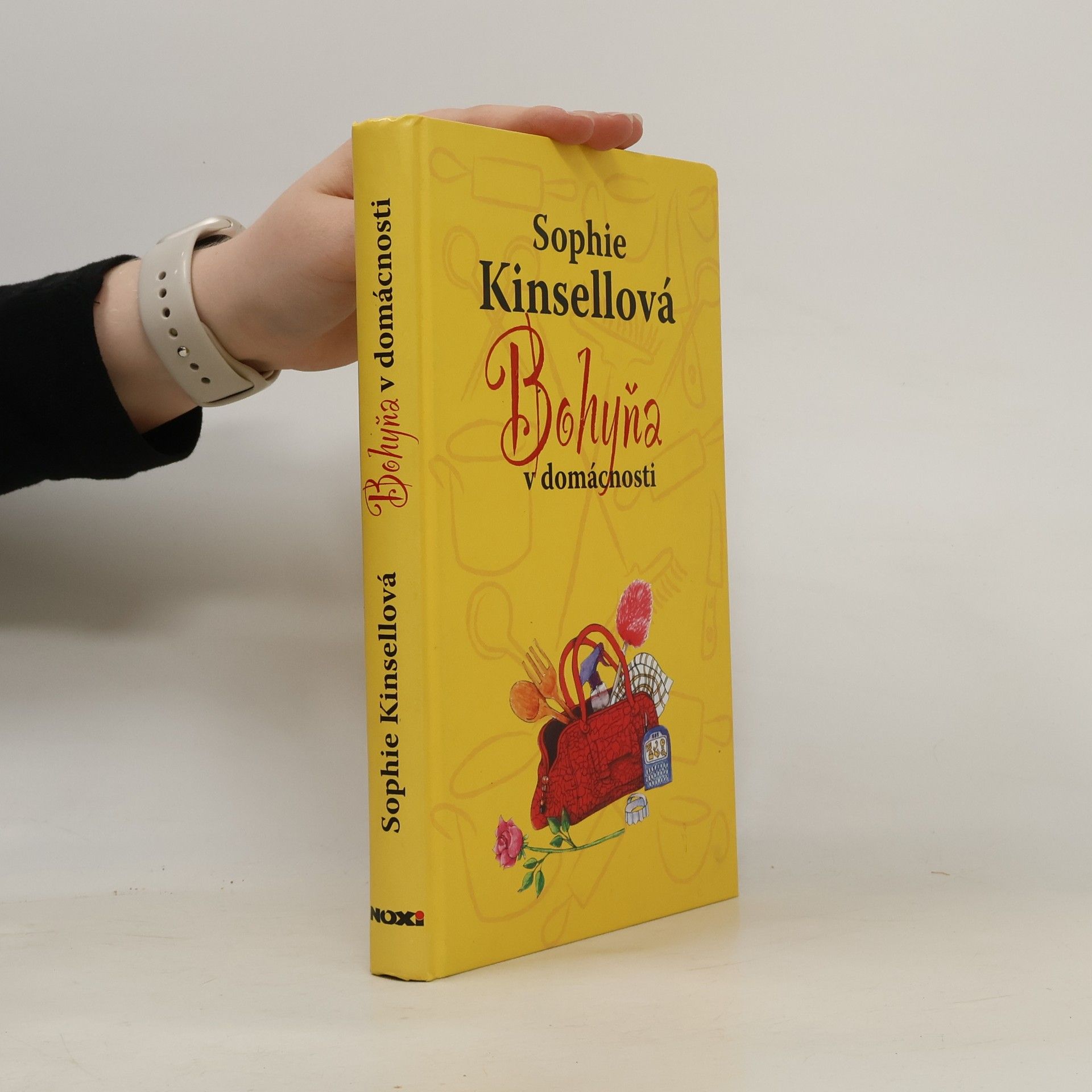 Sophie Kinsella Bohyňa v domácnosti