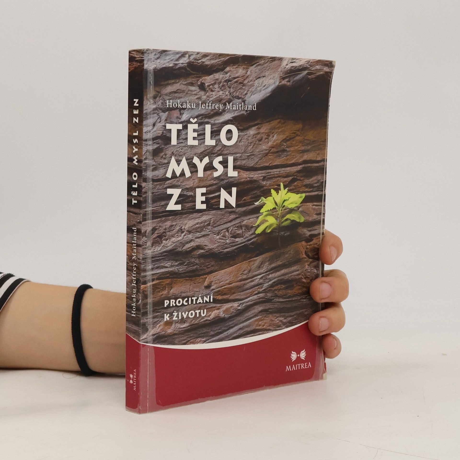 Jeffrey Maitland Tělo, Mysl, Zen - Procitání k životu