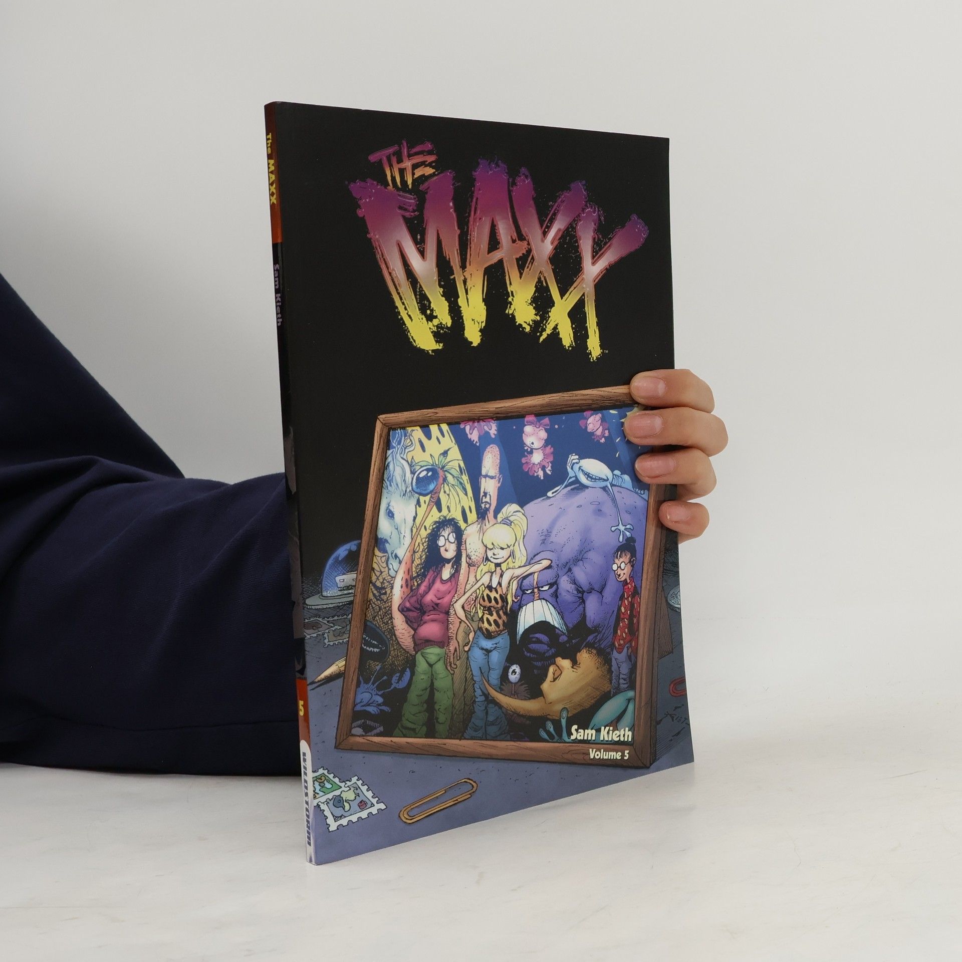Sam Kieth The Maxx
