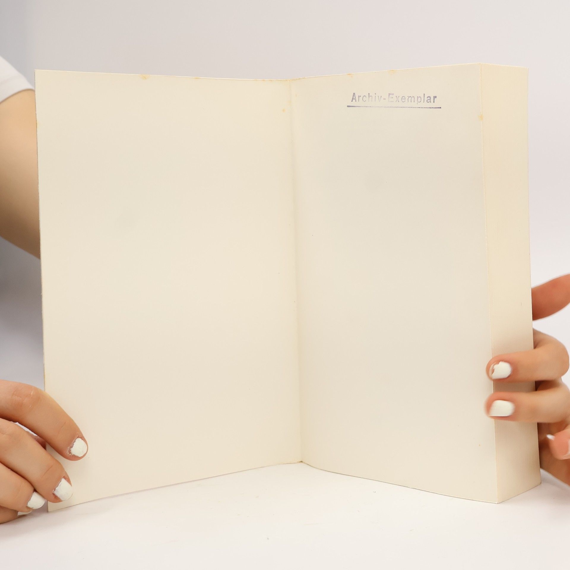 Autorenkollektiv Die Biblische Welt. Das Alte Testament + Das Neue Testament