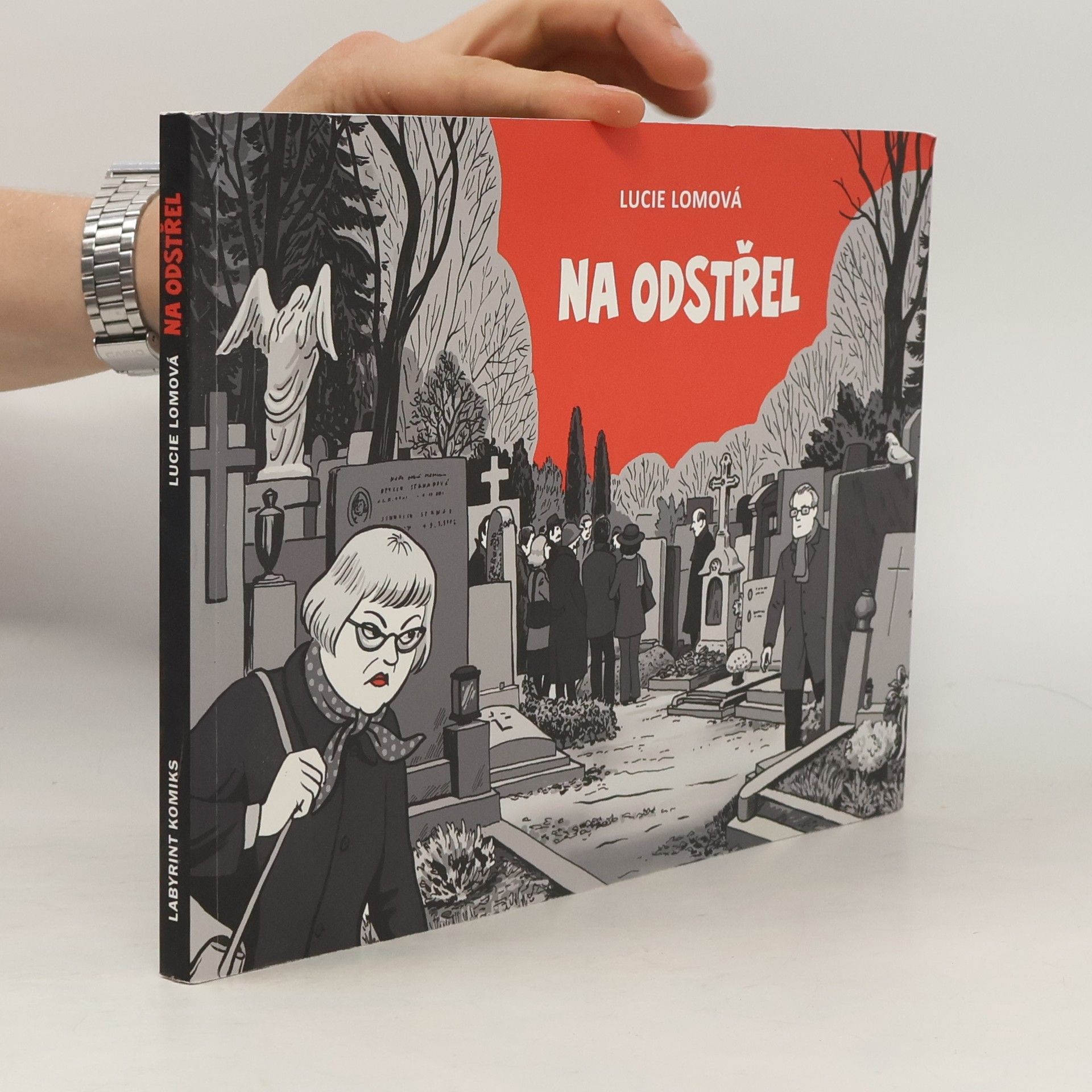Lucie Lomová Na odstřel: Komiksová detektivka