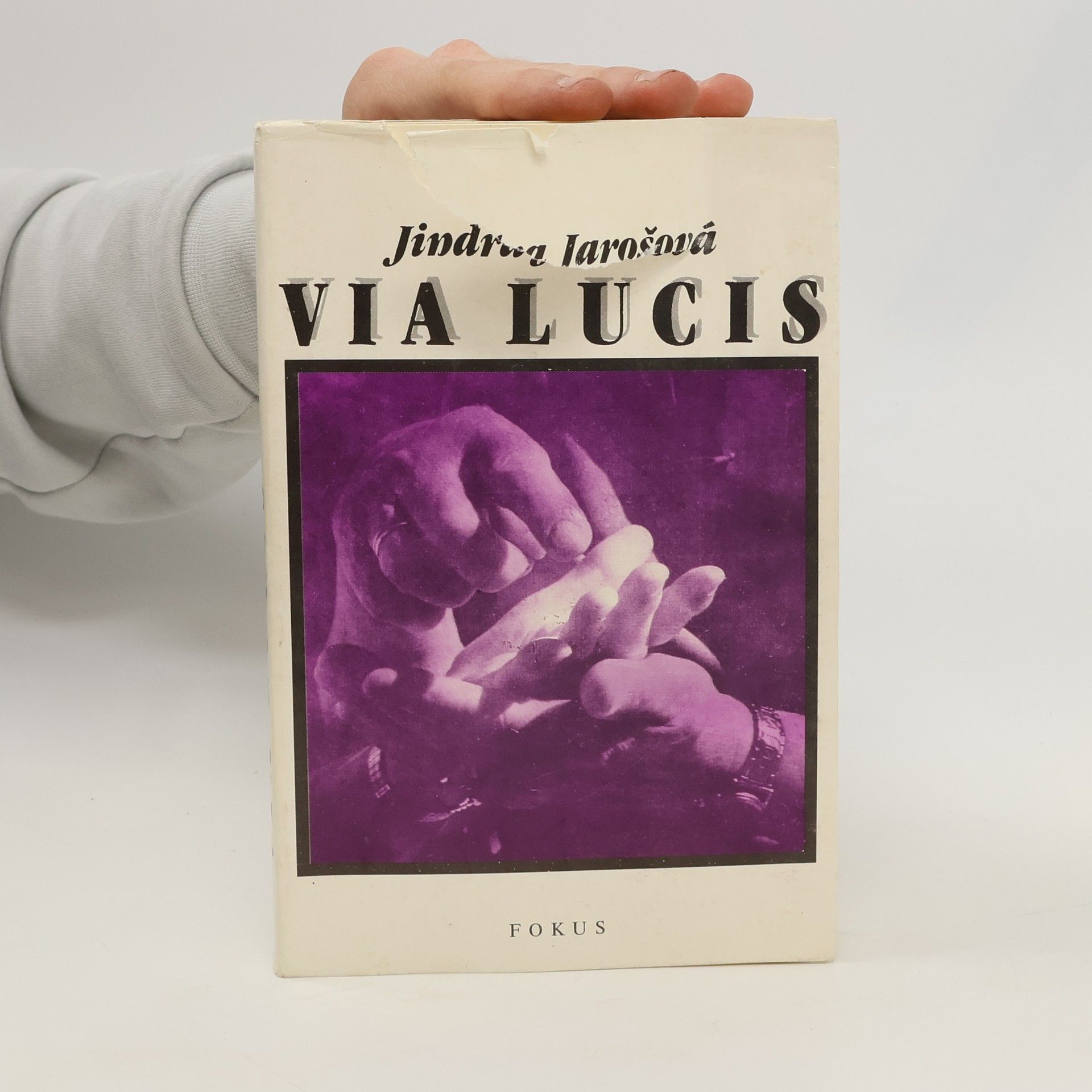 Jindra Jarošová Via Lucis