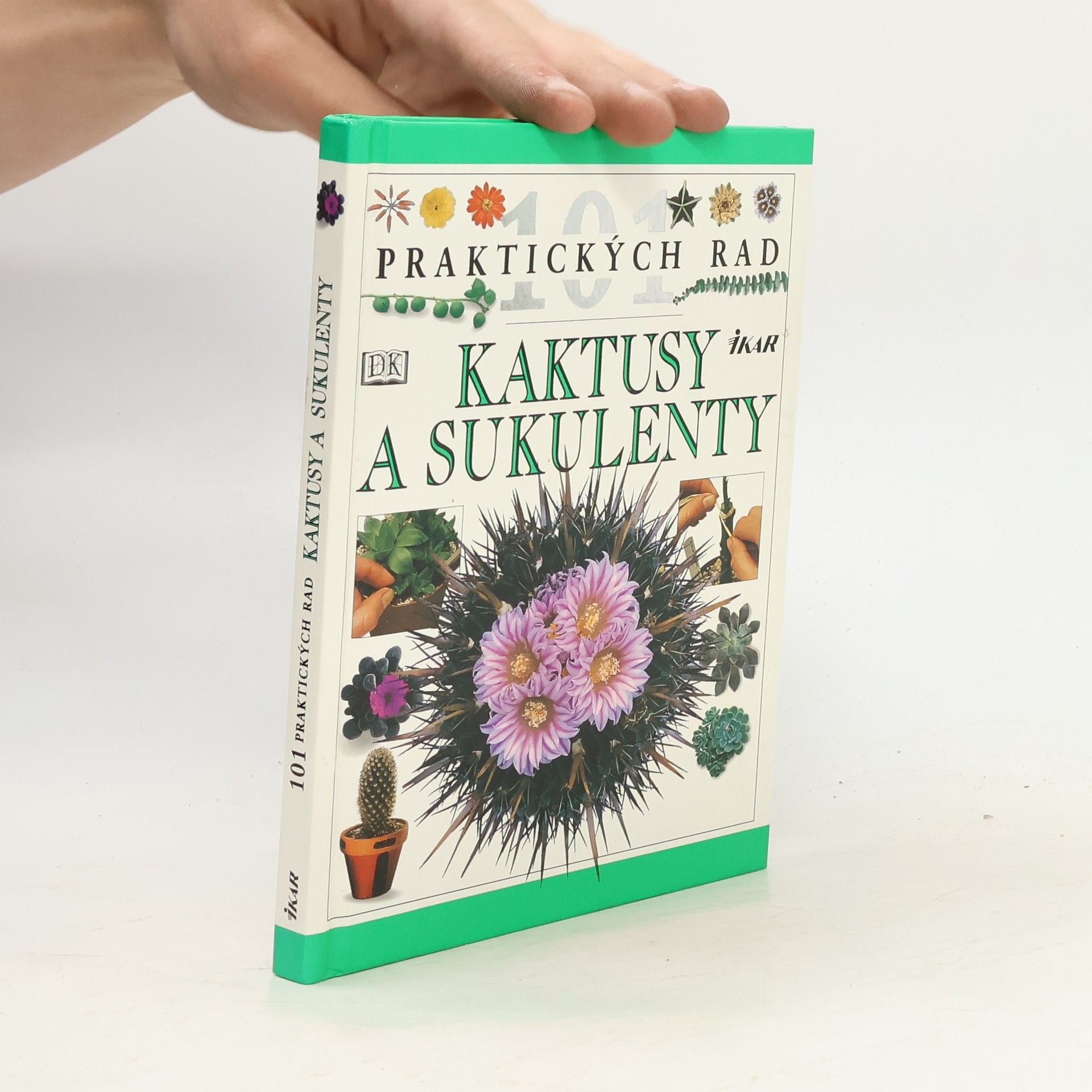 Kaktusy a sukulenty