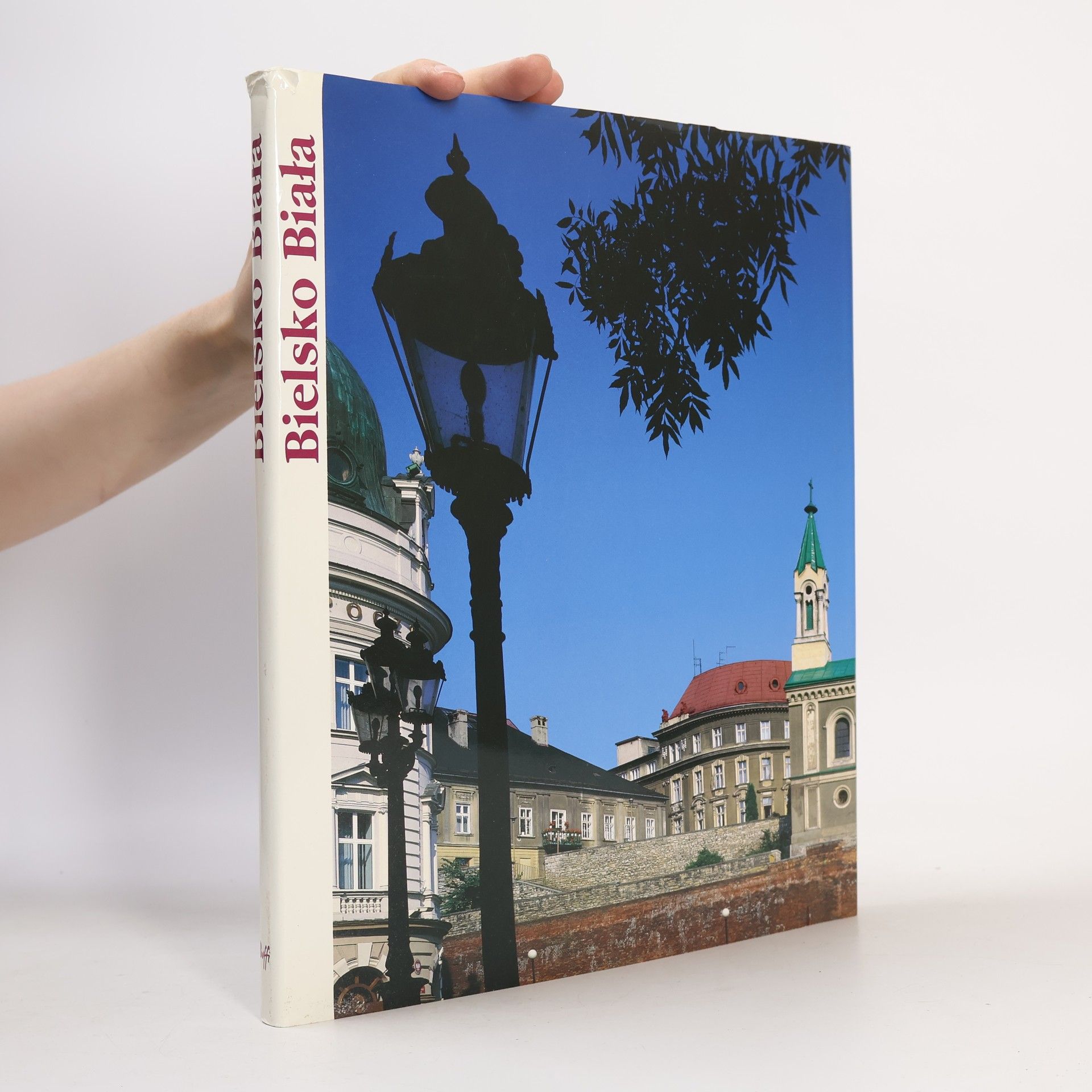 Beata Nycz Bielsko Biała
