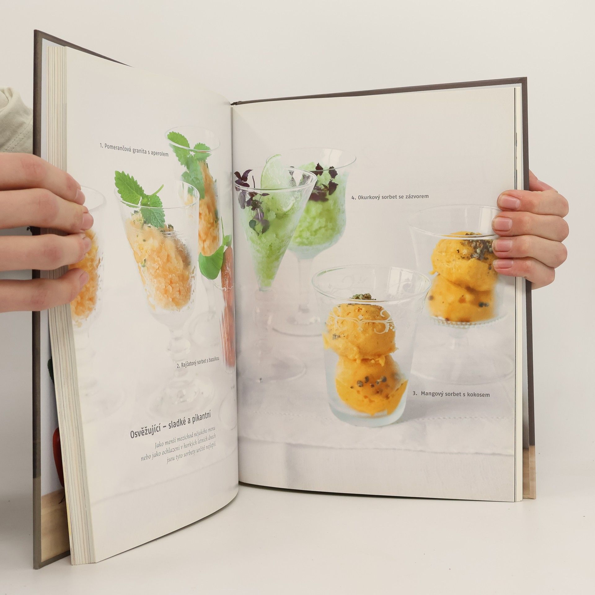 Bettina Matthaei Vegetariánská kuchyně pro labužníky