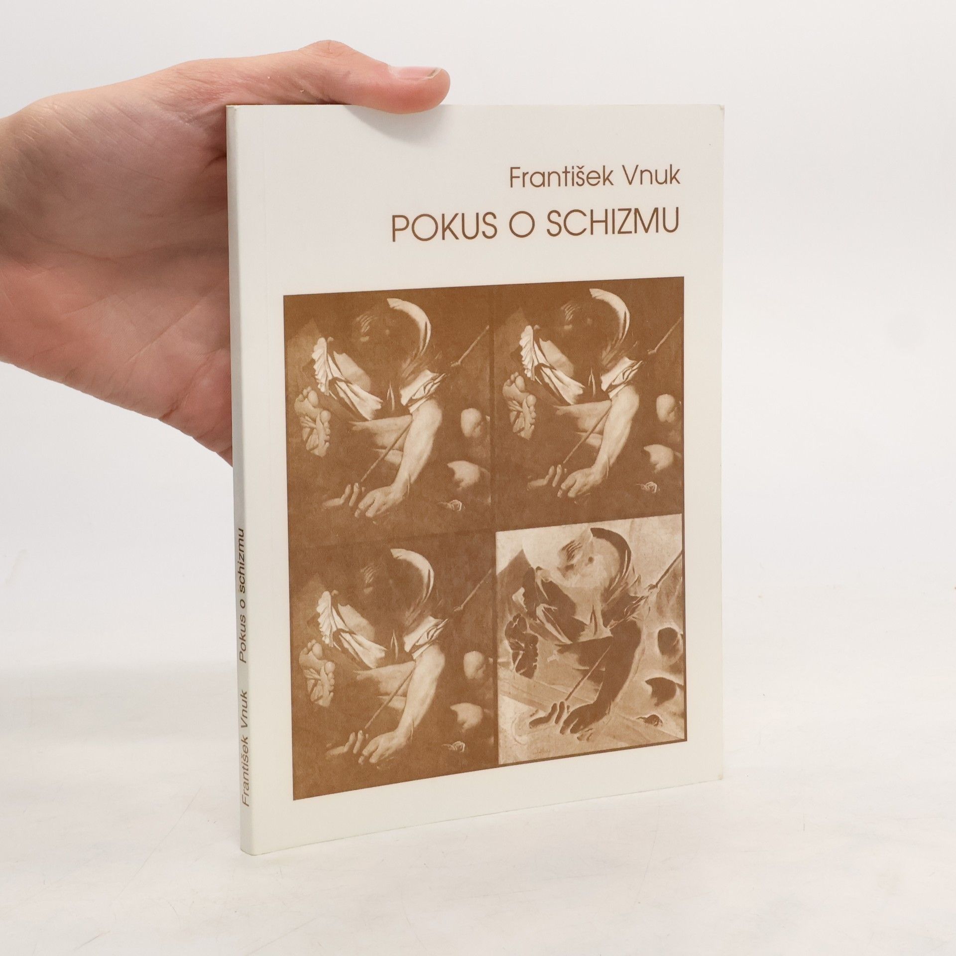 František Vnuk Pokus o schizmu