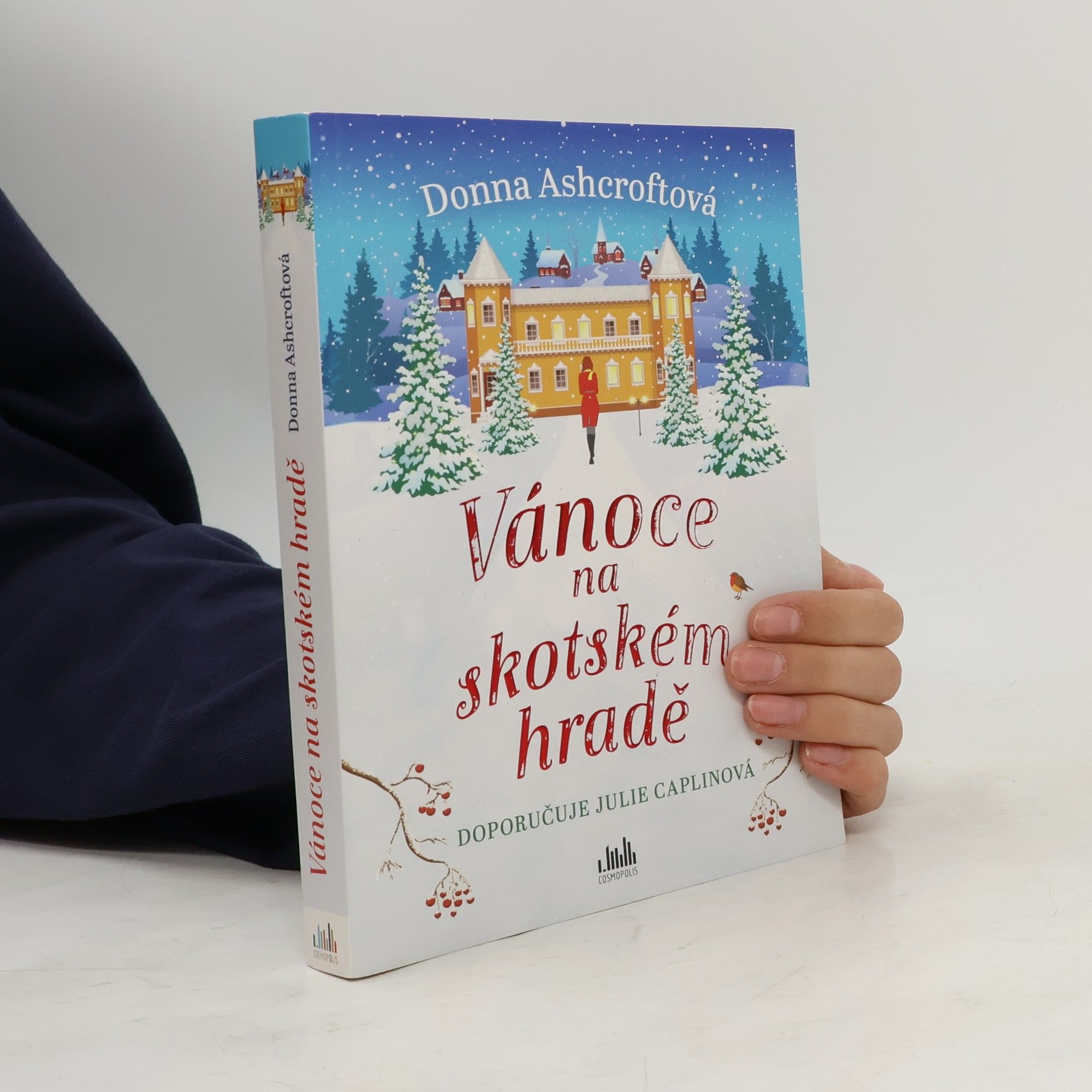 Donna Ashcroft Vánoce na skotském hradě
