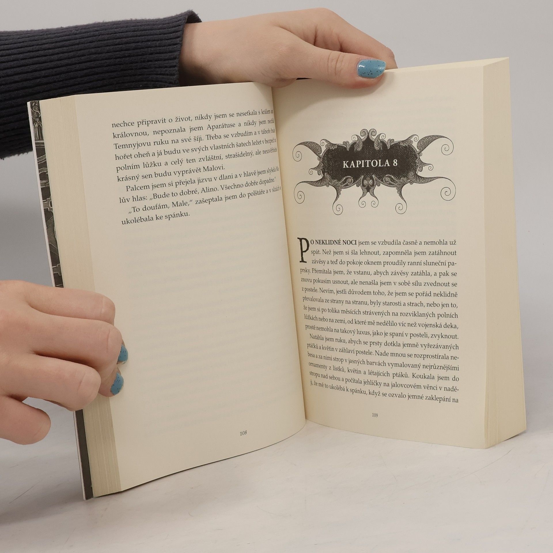 Leigh Bardugo Světlo a stíny