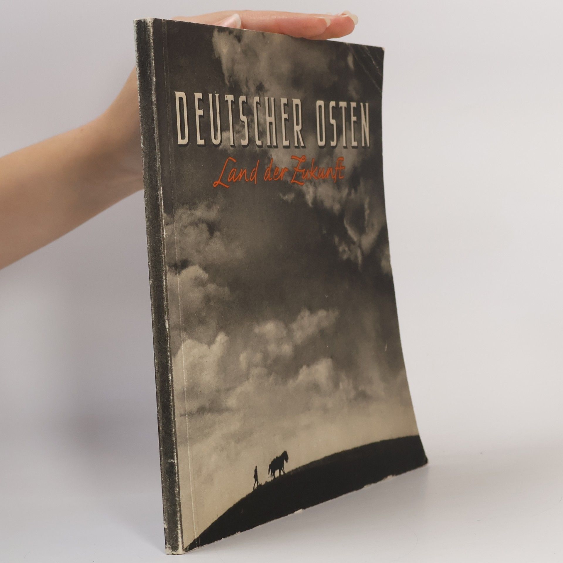 A. R. Marsani Deutscher Osten. Land der Zukunft