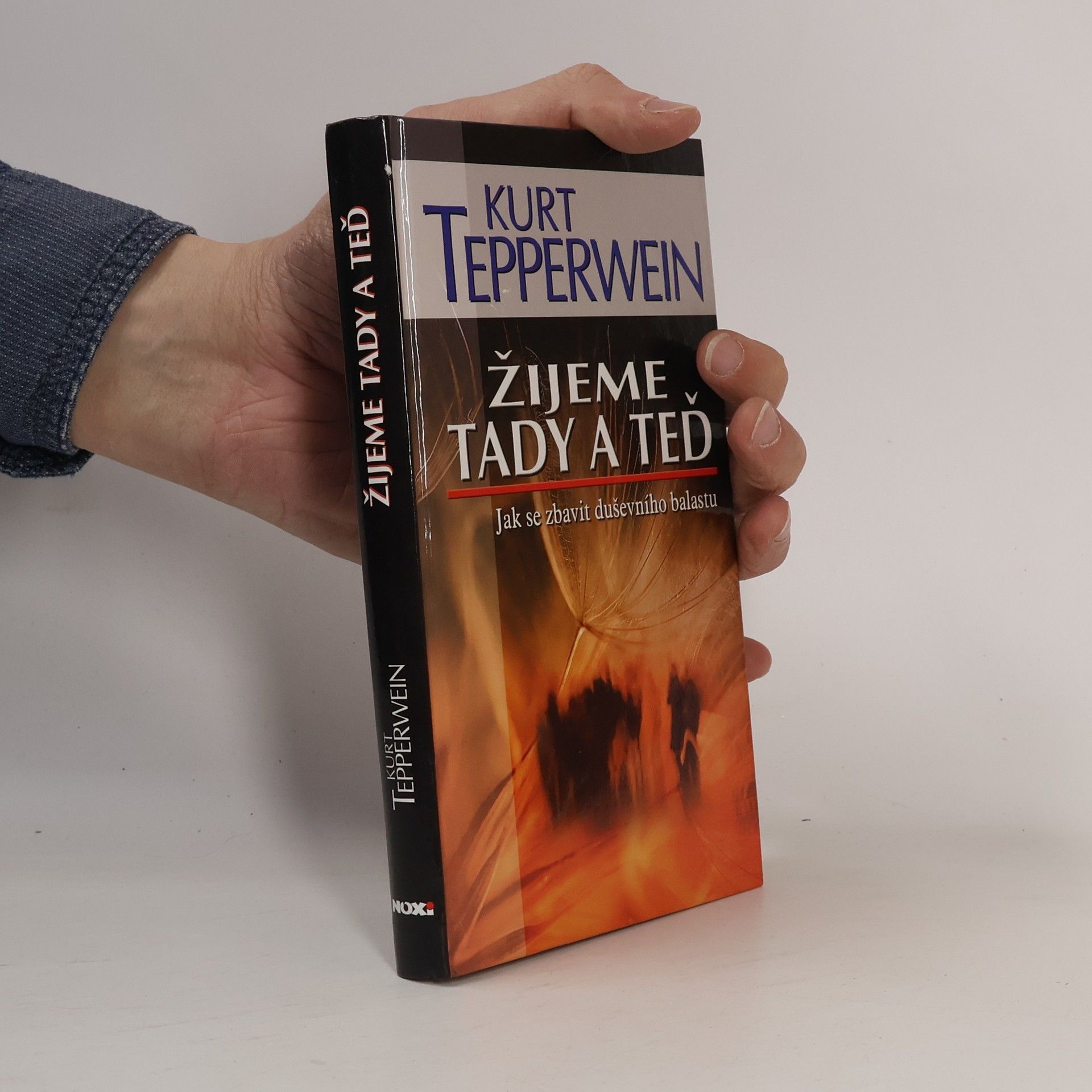 Kurt Tepperwein Žijeme tady a teď : jak se zbavit duševního balastu