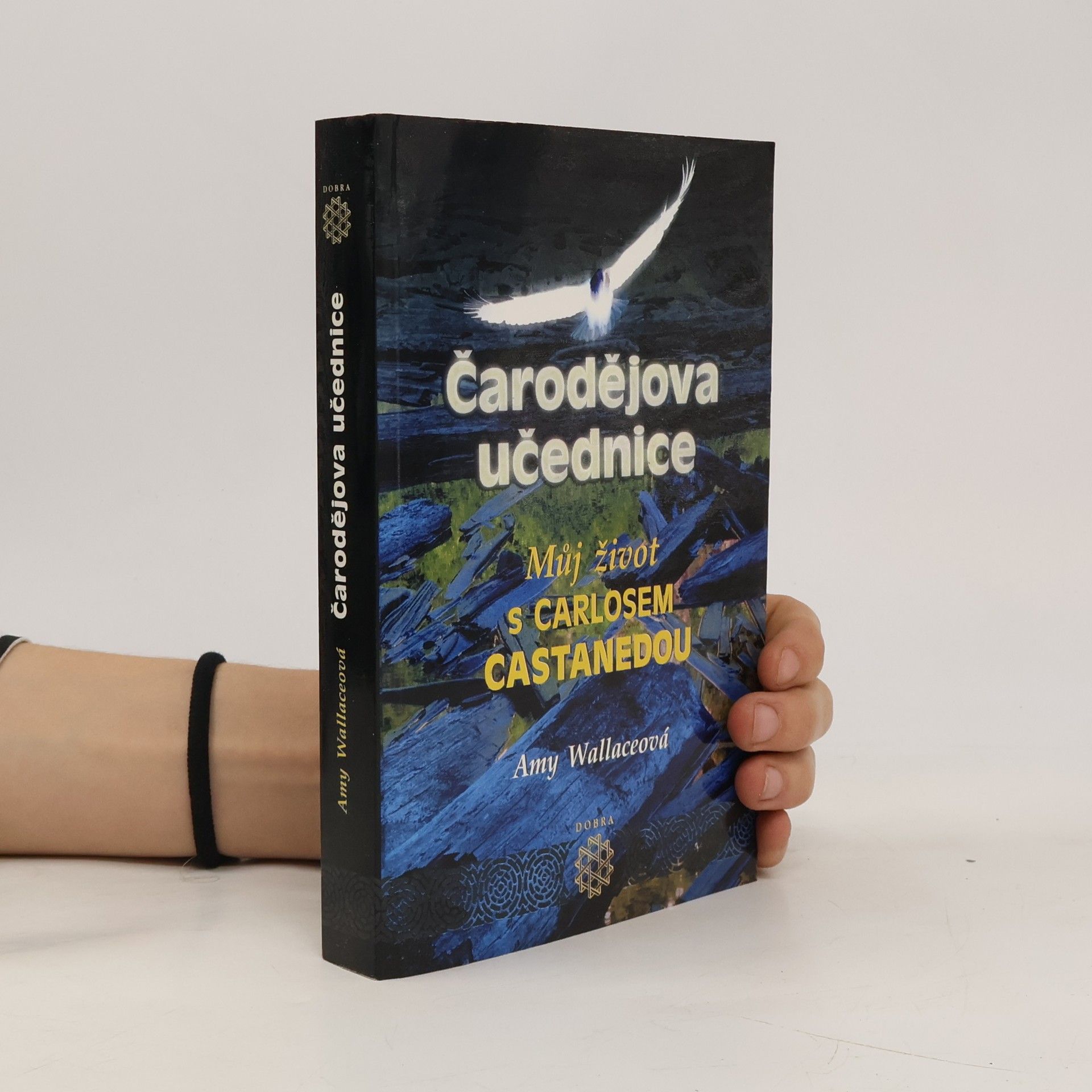 Amy Wallace Čarodějova učednice. Můj život s Carlosem Castanedou