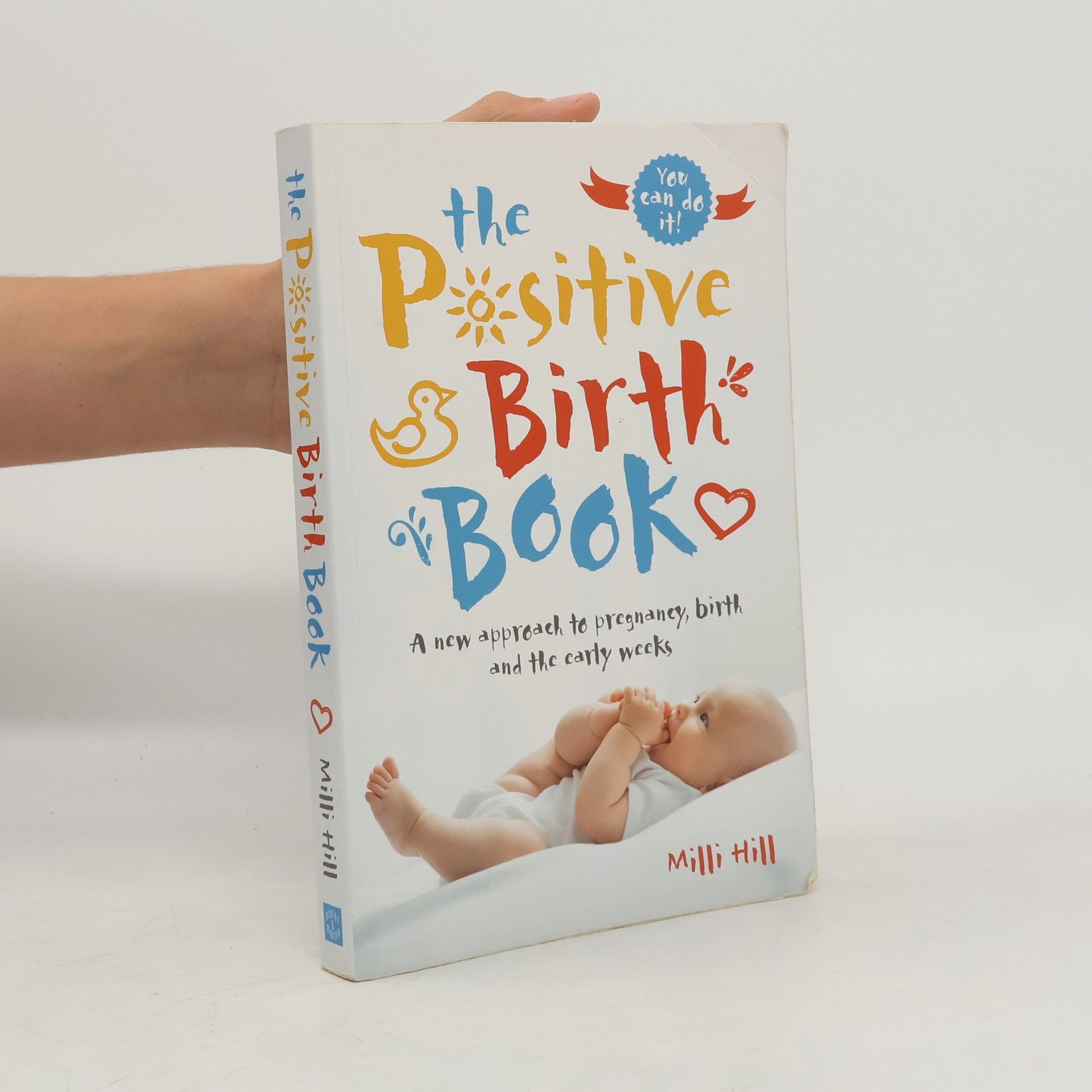 Milli Hill The Positive Birth Book