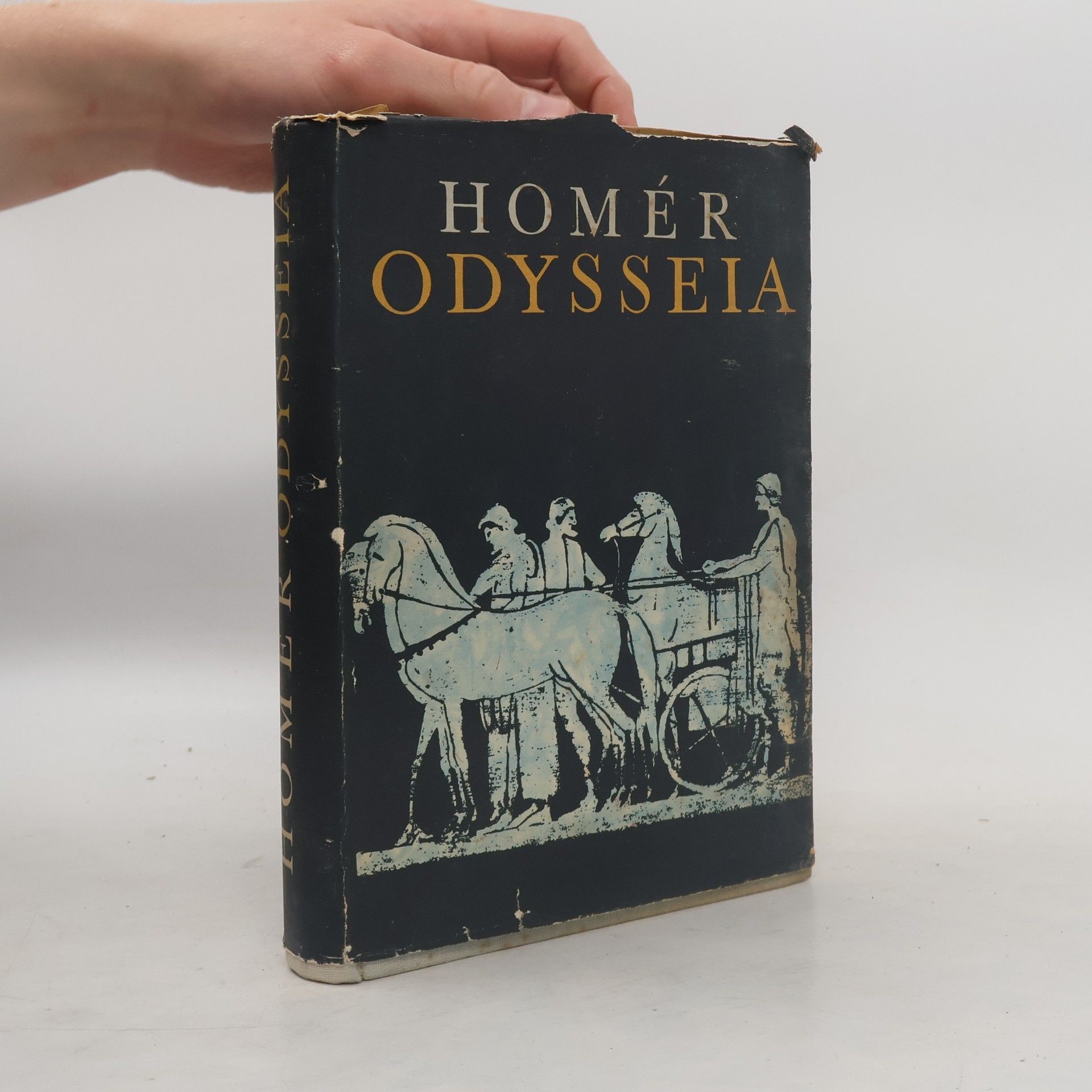 Homér Odysseia