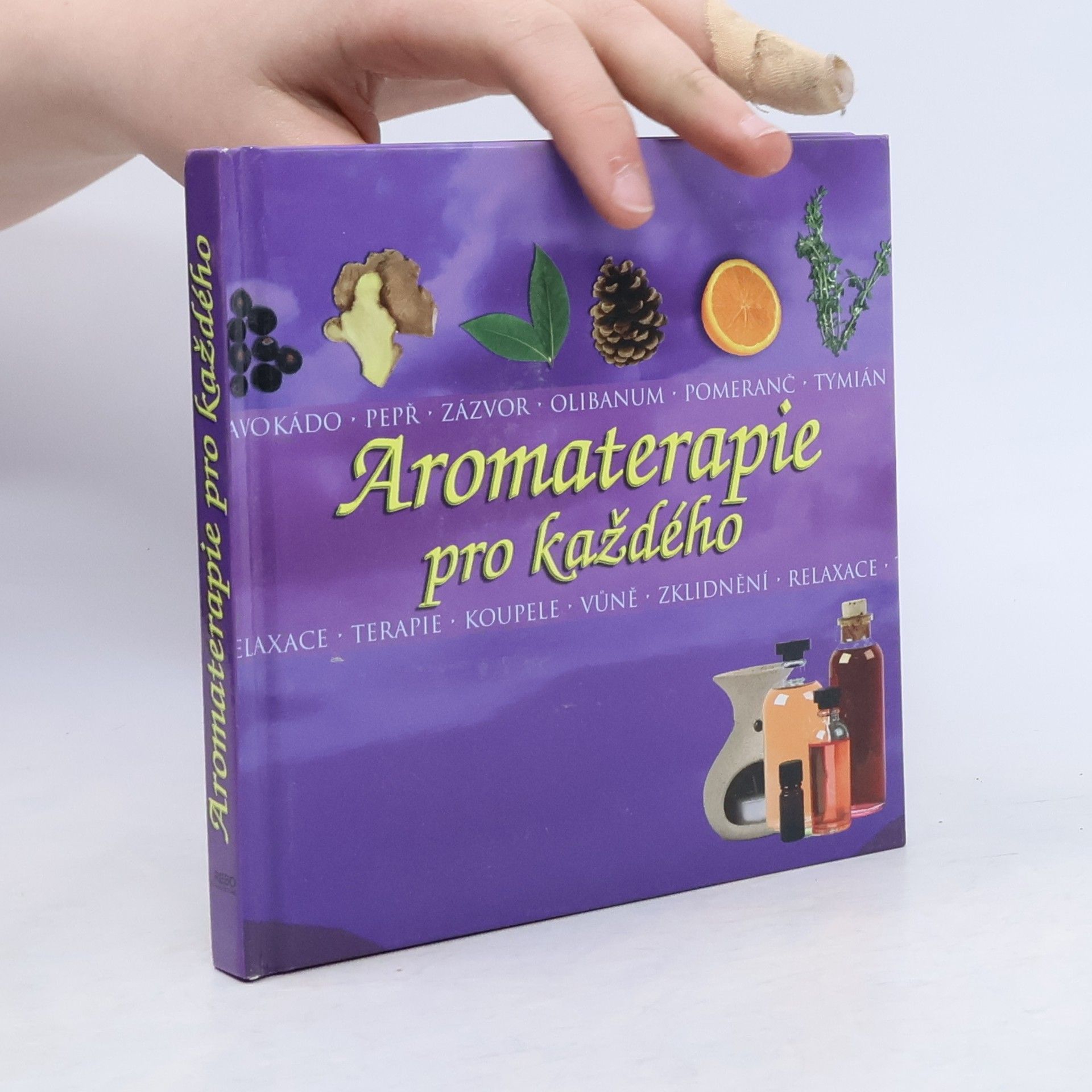 Collectif d'auteurs Aromaterapie pro každého
