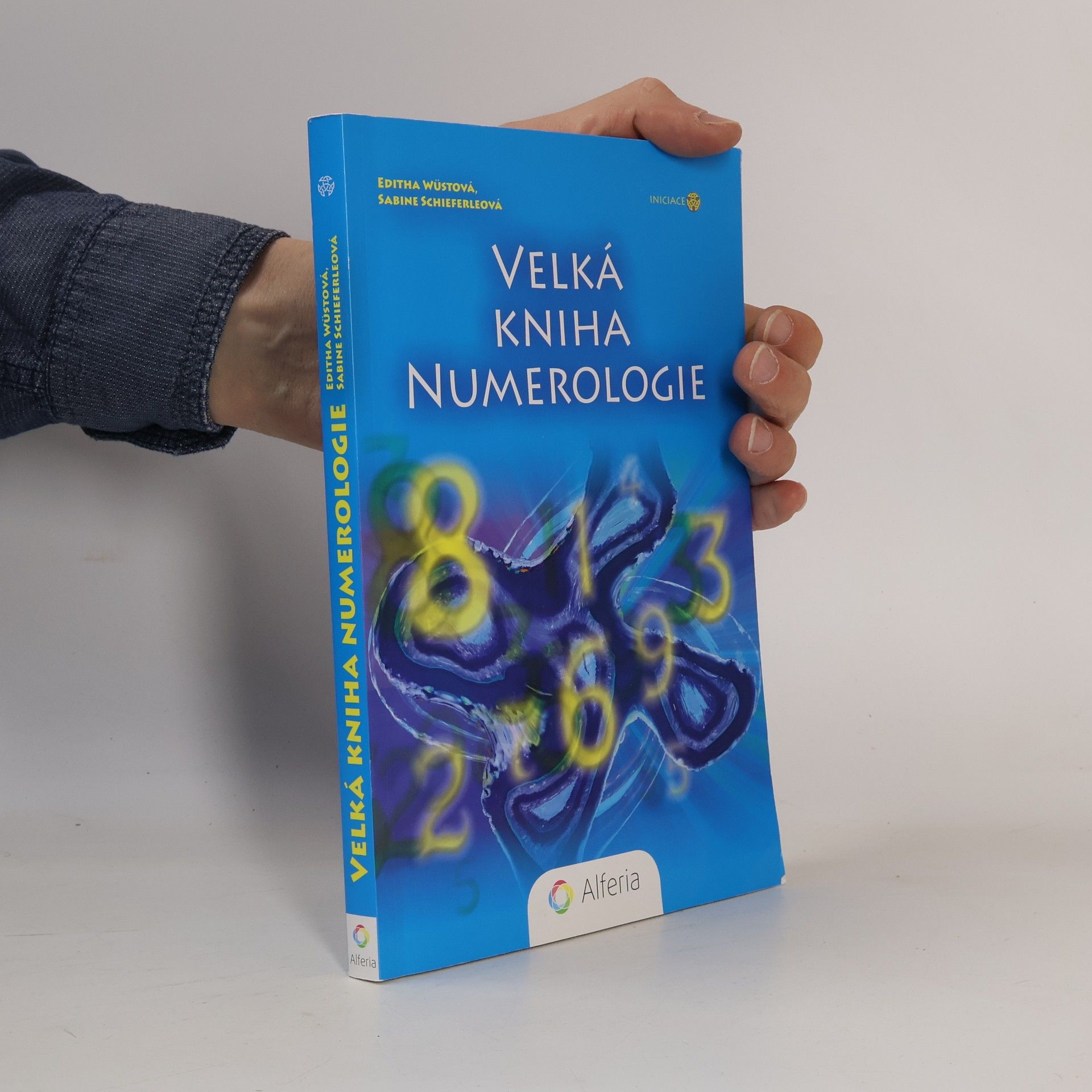 Editha Wüst Velká kniha numerologie