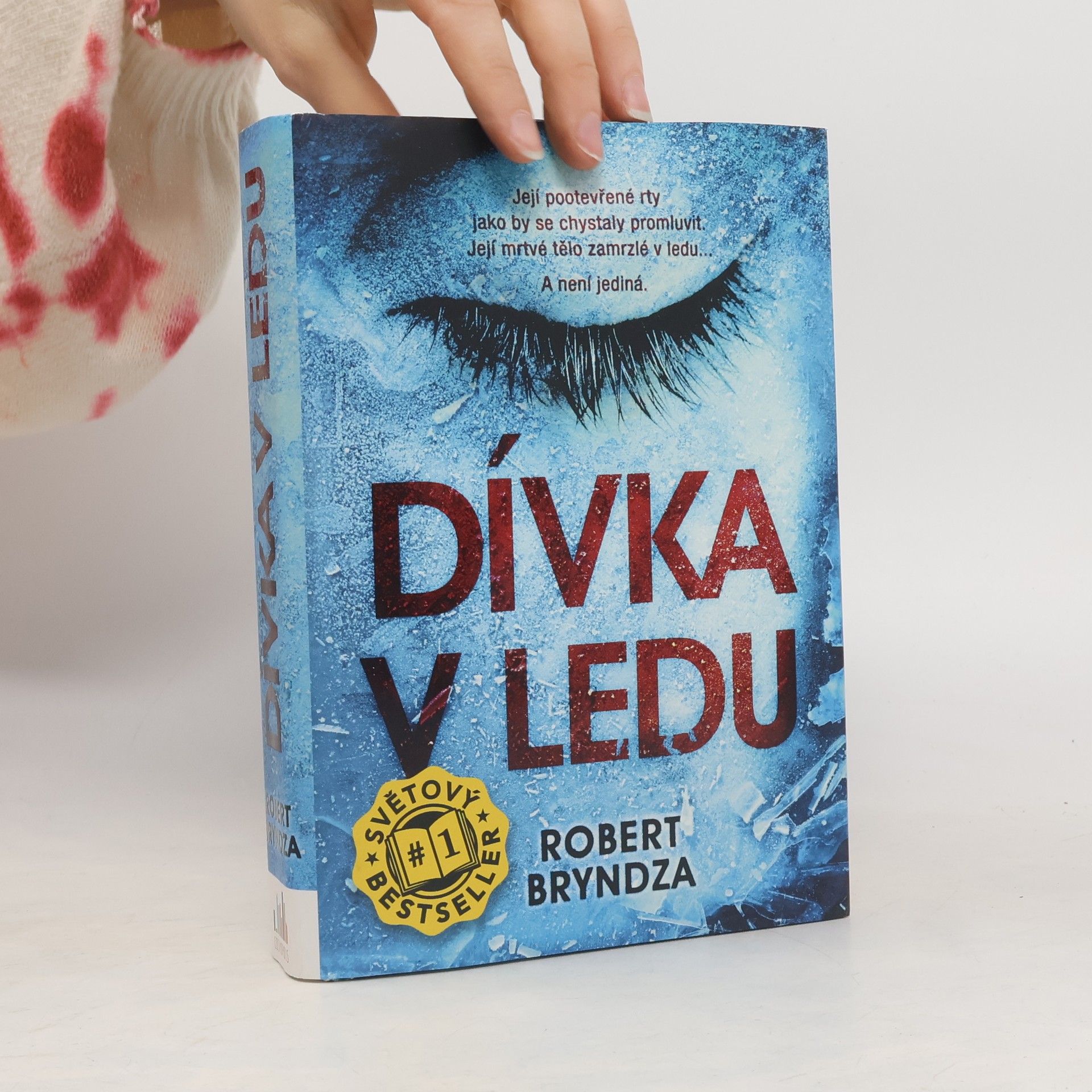 Robert Bryndza Dívka v ledu