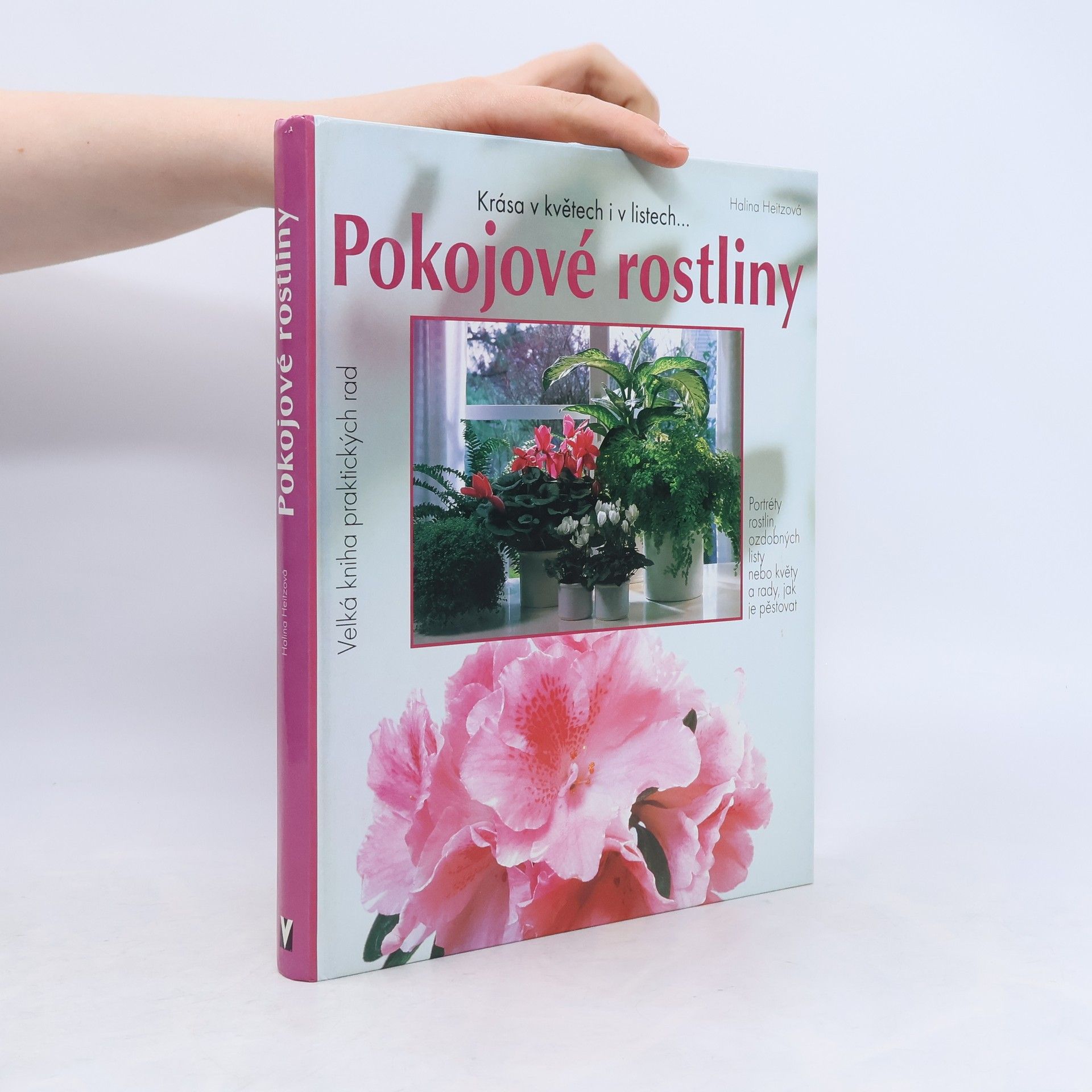 Pokojové rostliny