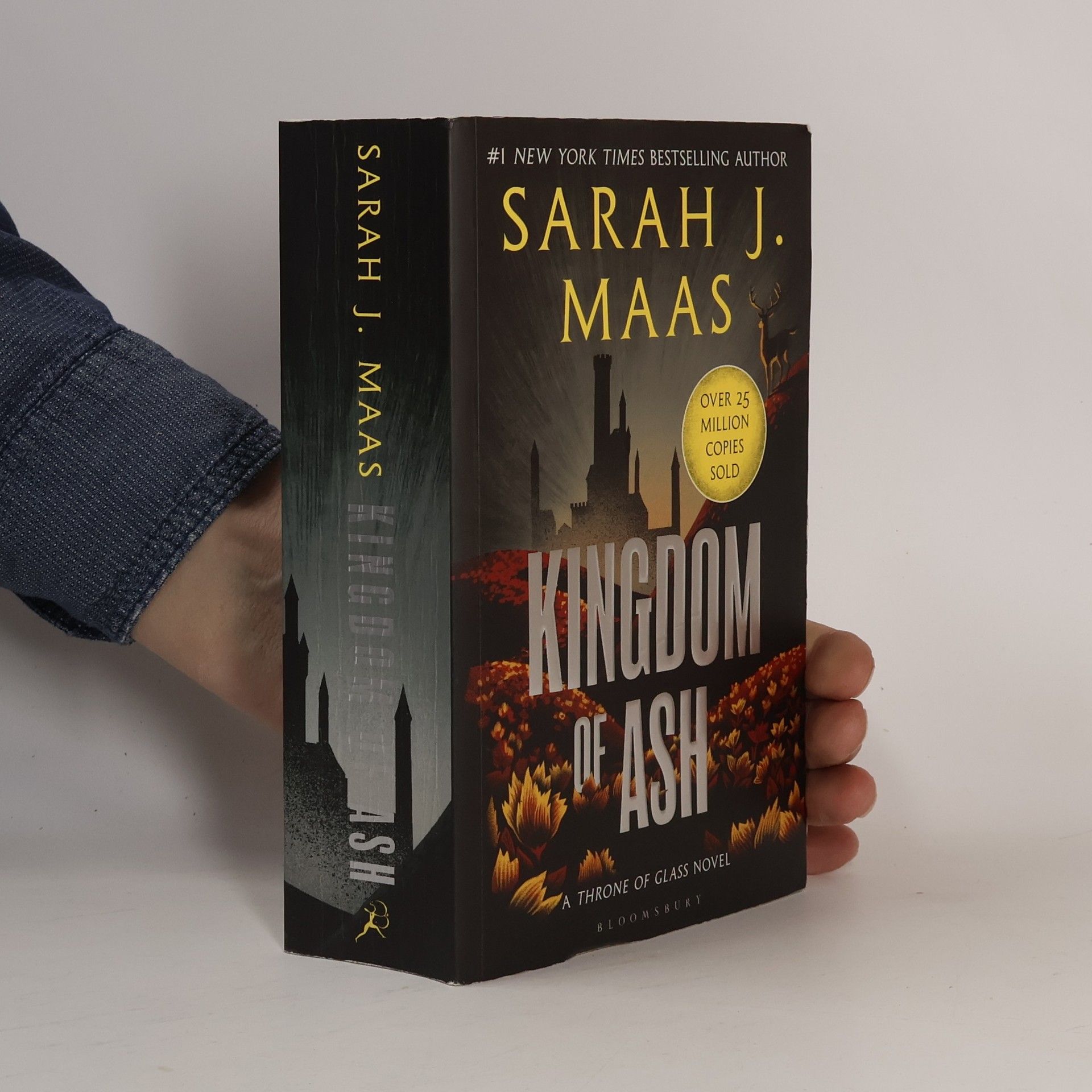 Sarah J. Maas Kingdom of Ash