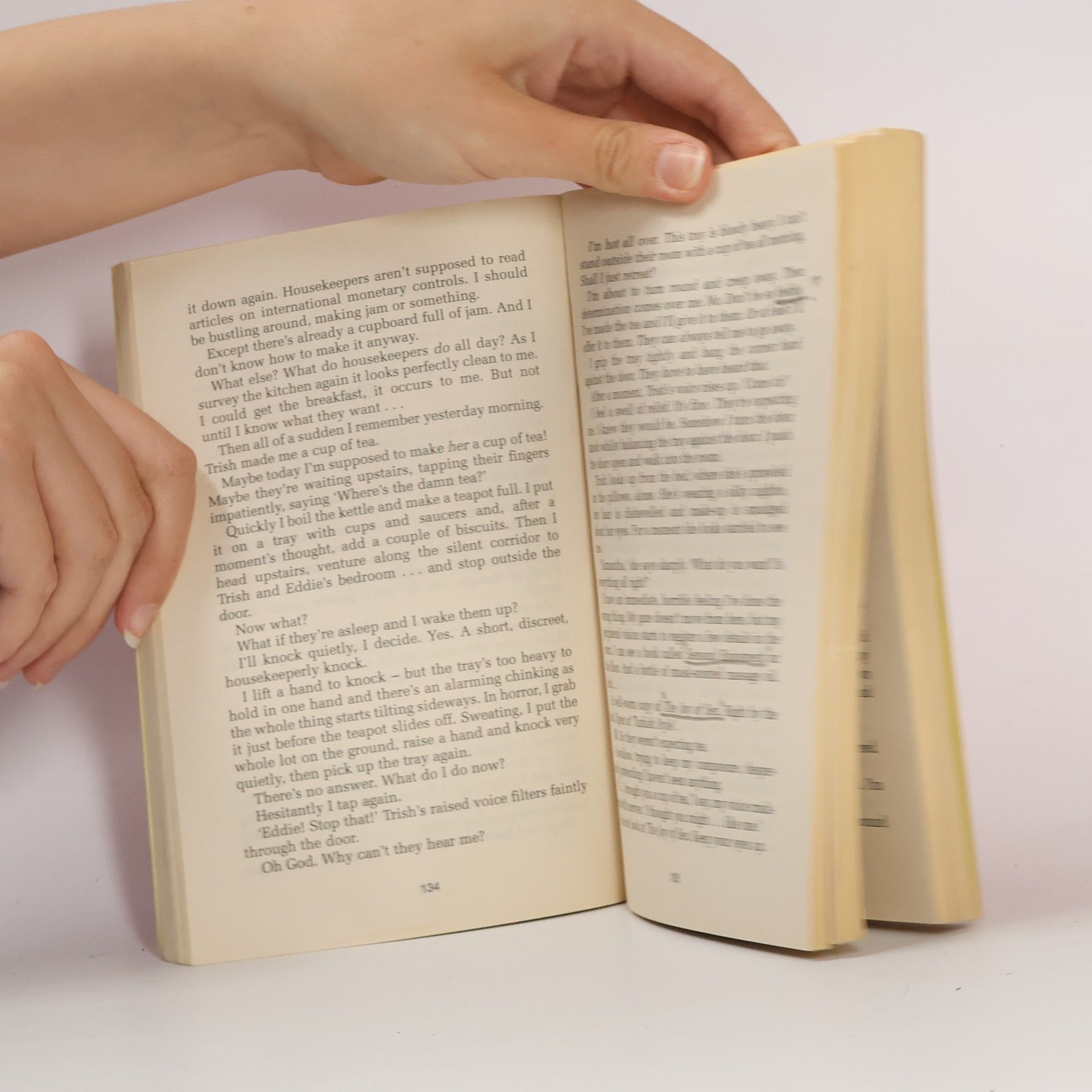 Sophie Kinsella The undomestic goddess