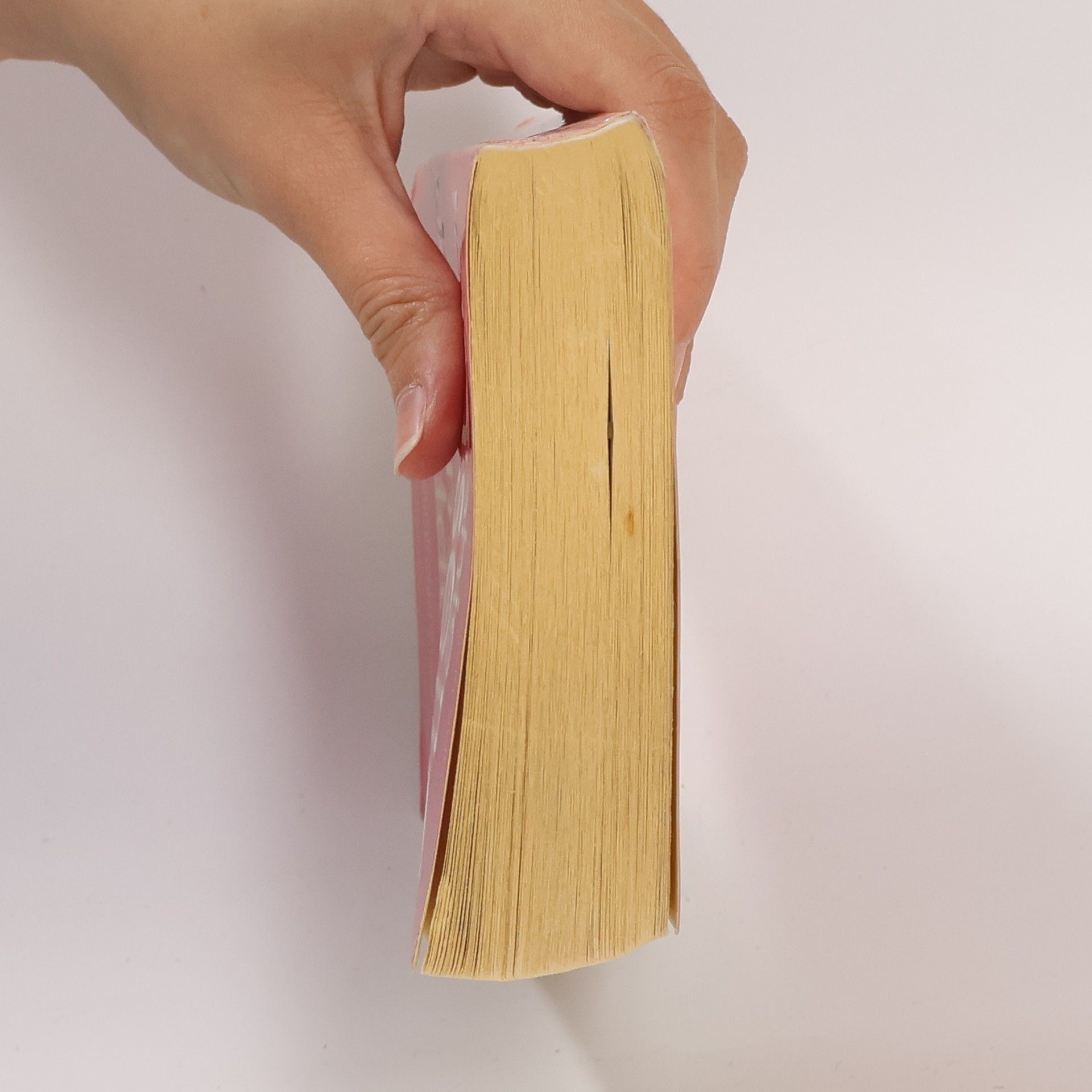 Sophie Kinsella The undomestic goddess