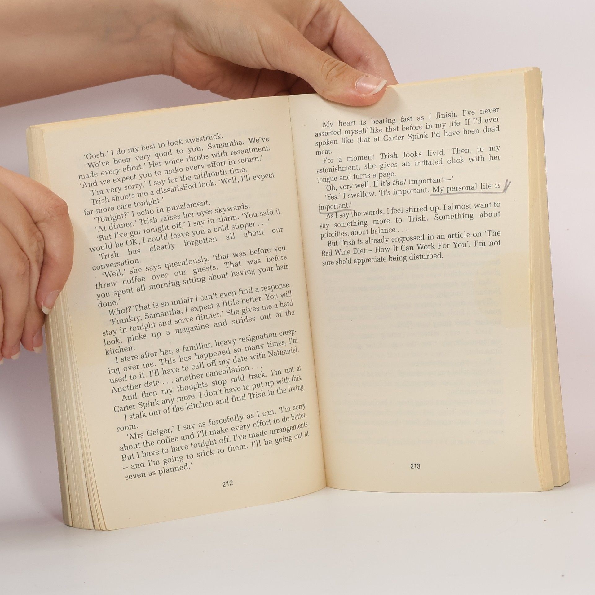 Sophie Kinsella The undomestic goddess