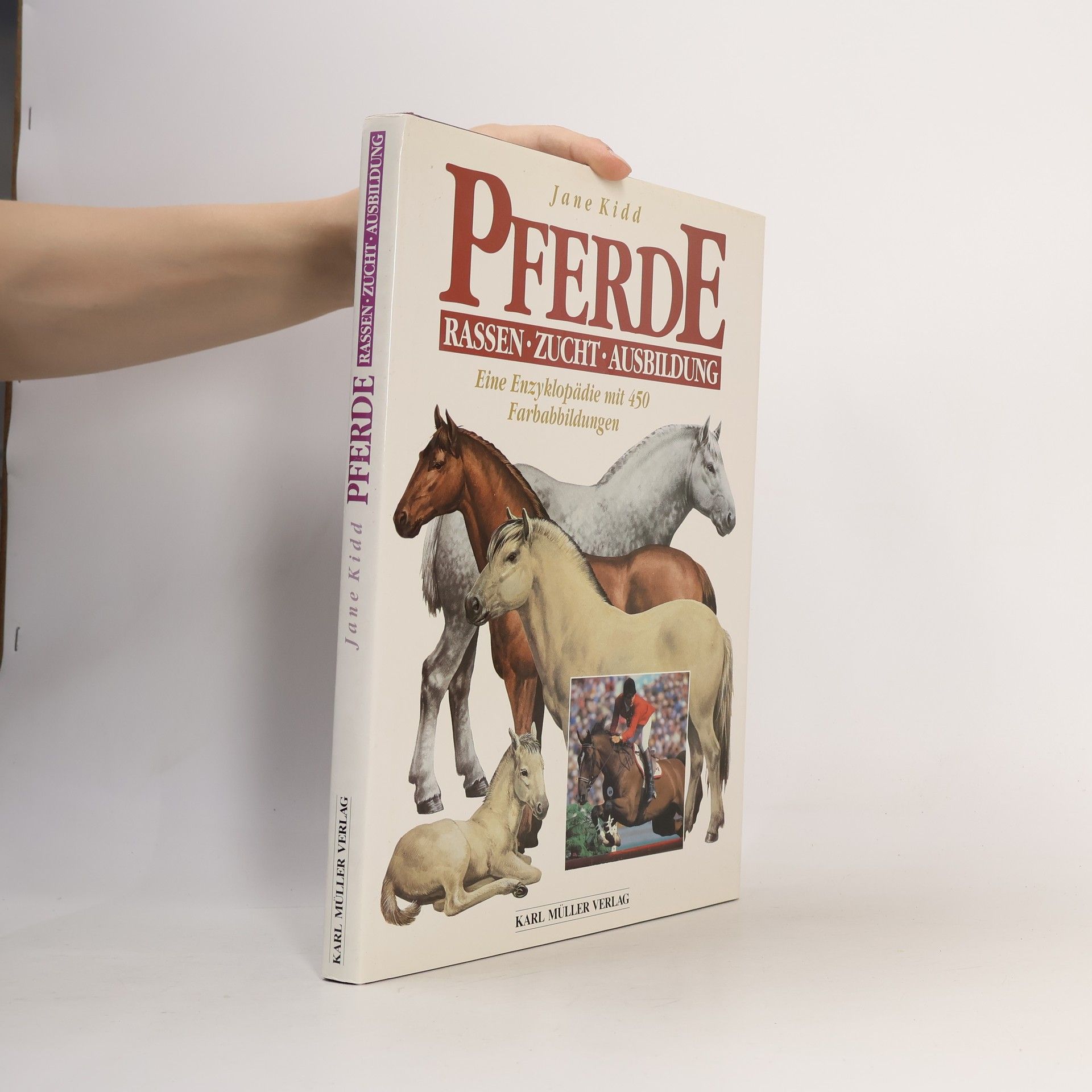 Pferde
