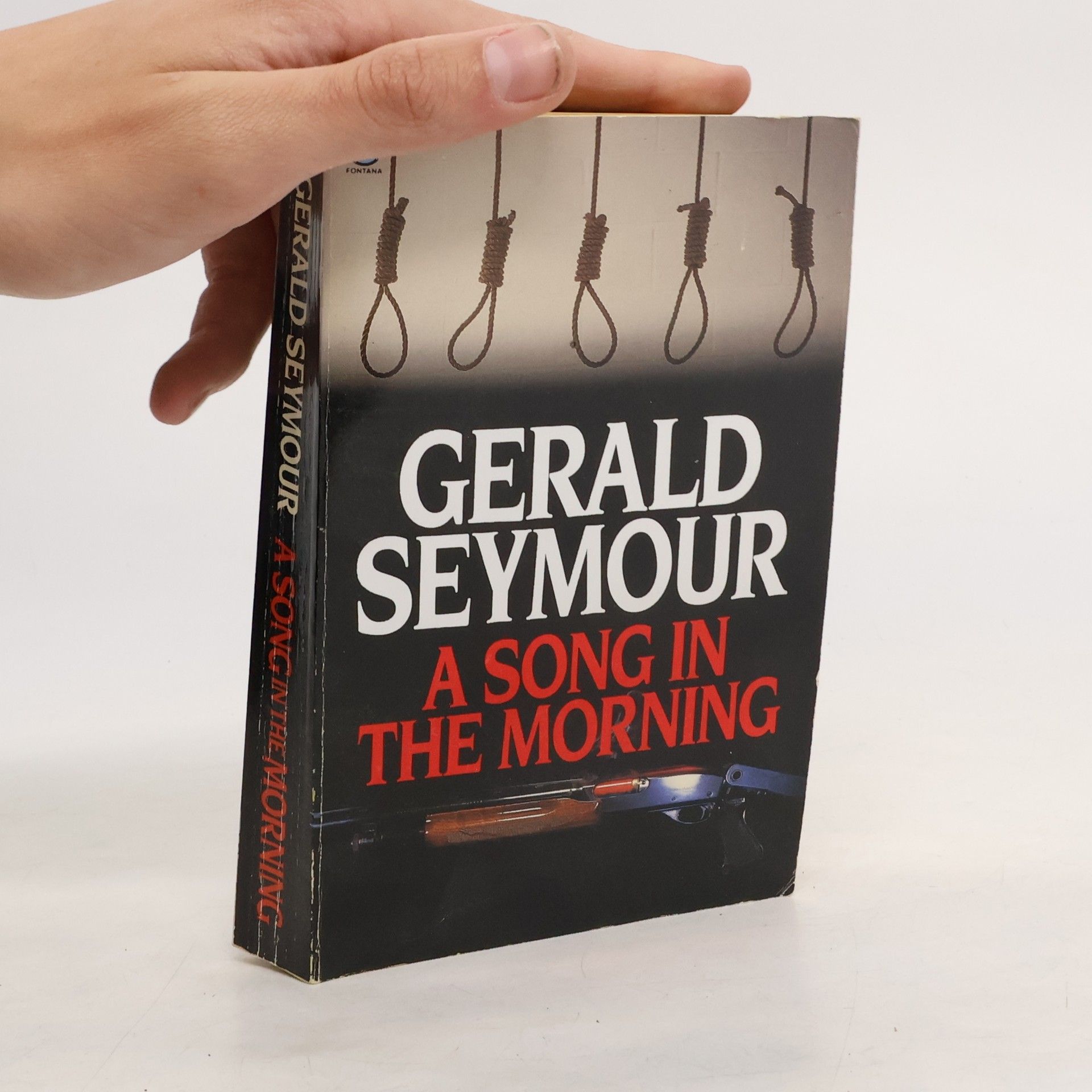Gerald Seymour A Song in the Morning
