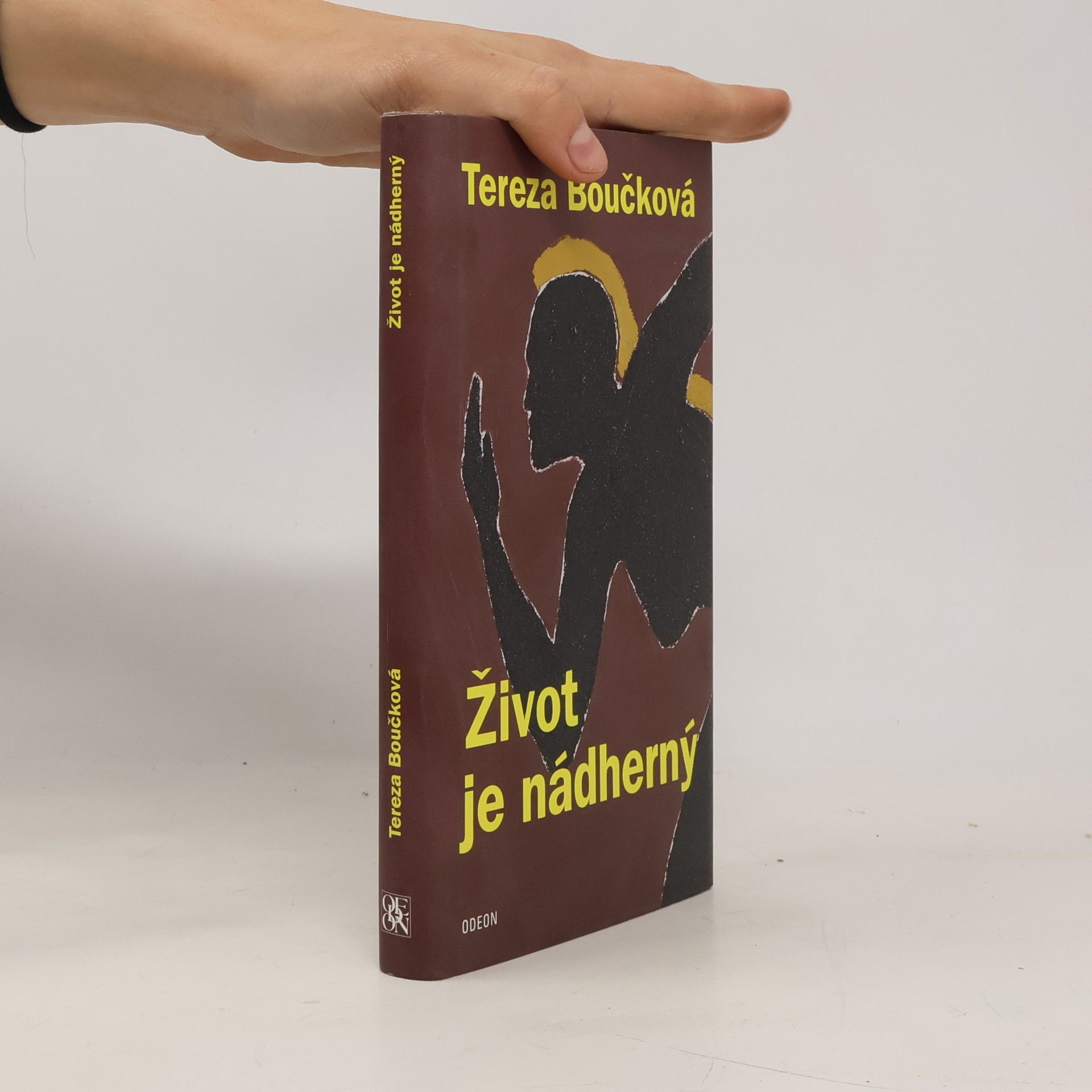 Tereza Boučková Život je nádherný