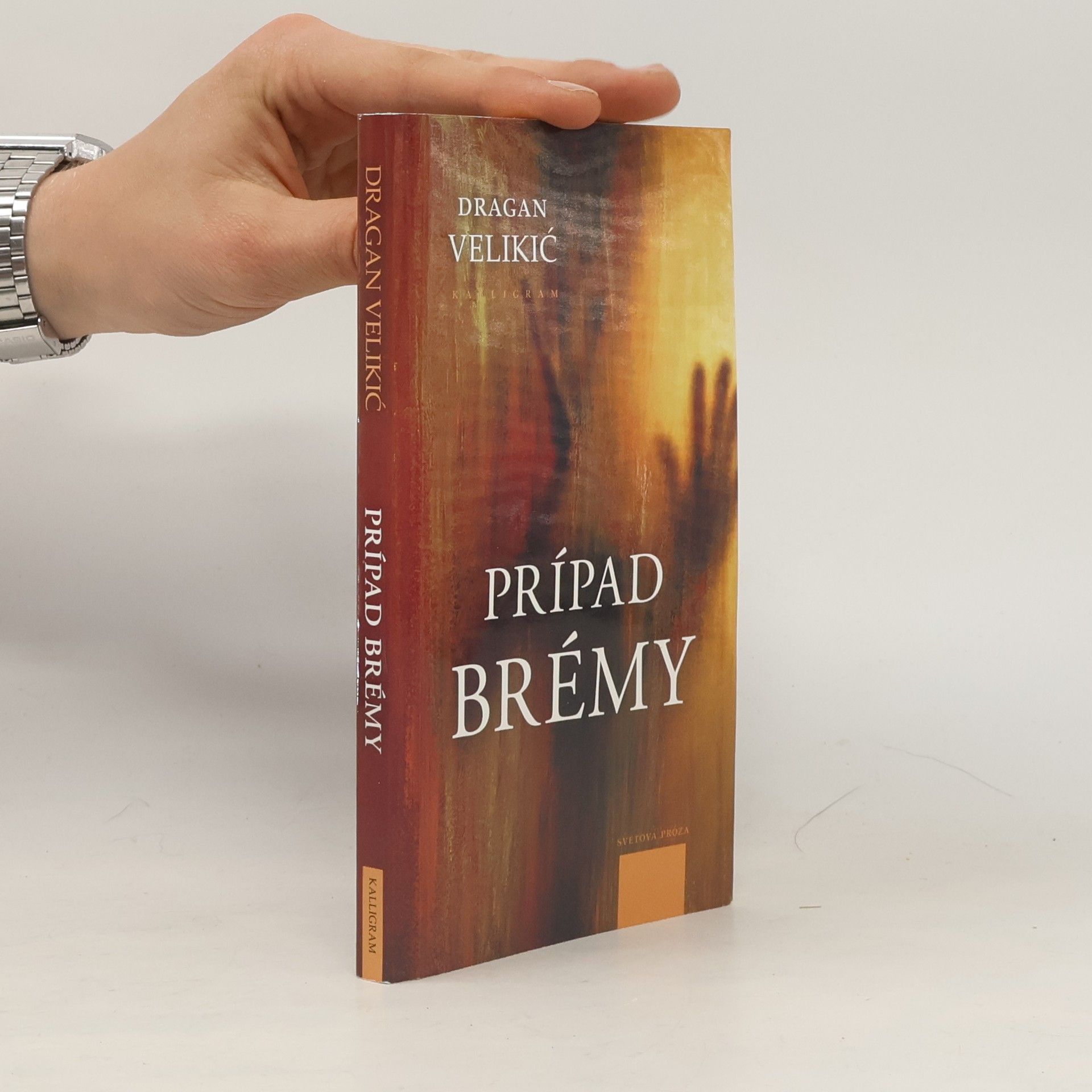 Dragan Velikić Prípad Brémy